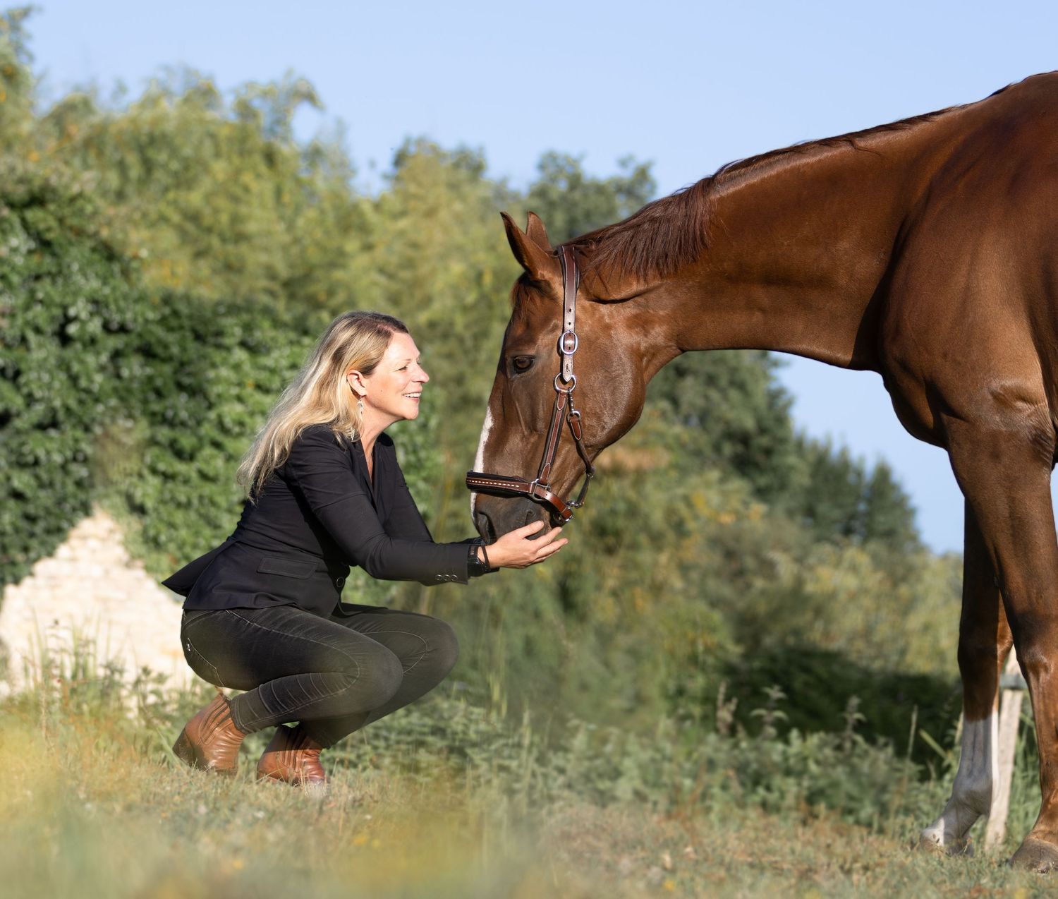 Photographe professionnelle portraitiste animalière, la photographie équine avec cheval et les photo chien. Pyrénées-atlantiques gironde