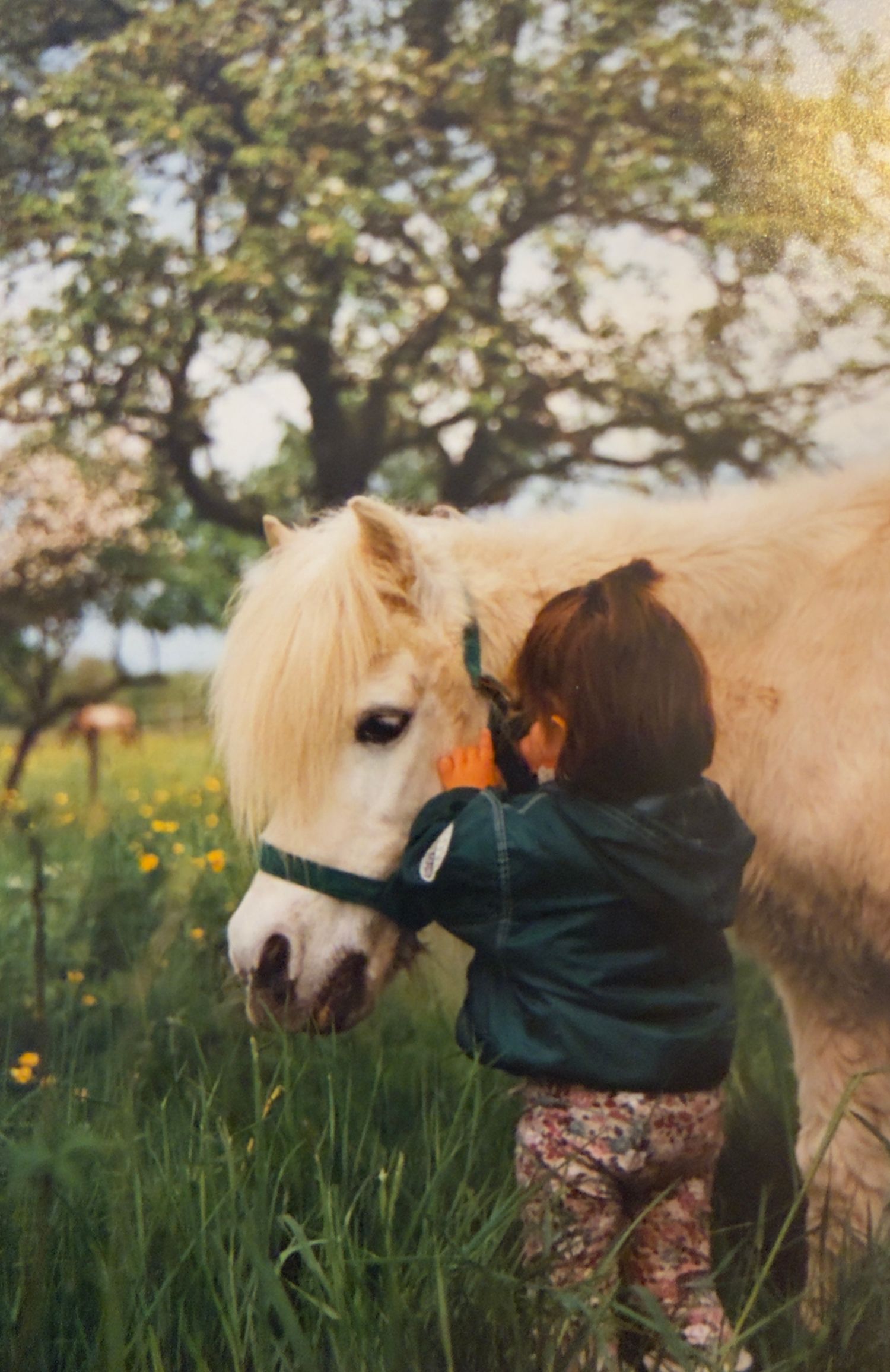 enfant et cheval landes