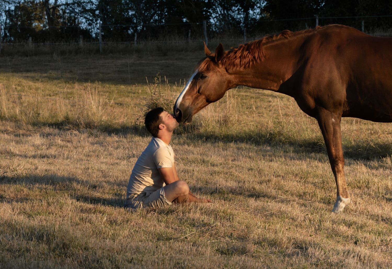 Photographe professionnelle portraitiste animalière, la photographie équine avec cheval et les photo chien. Pyrénées-atlantiques gironde