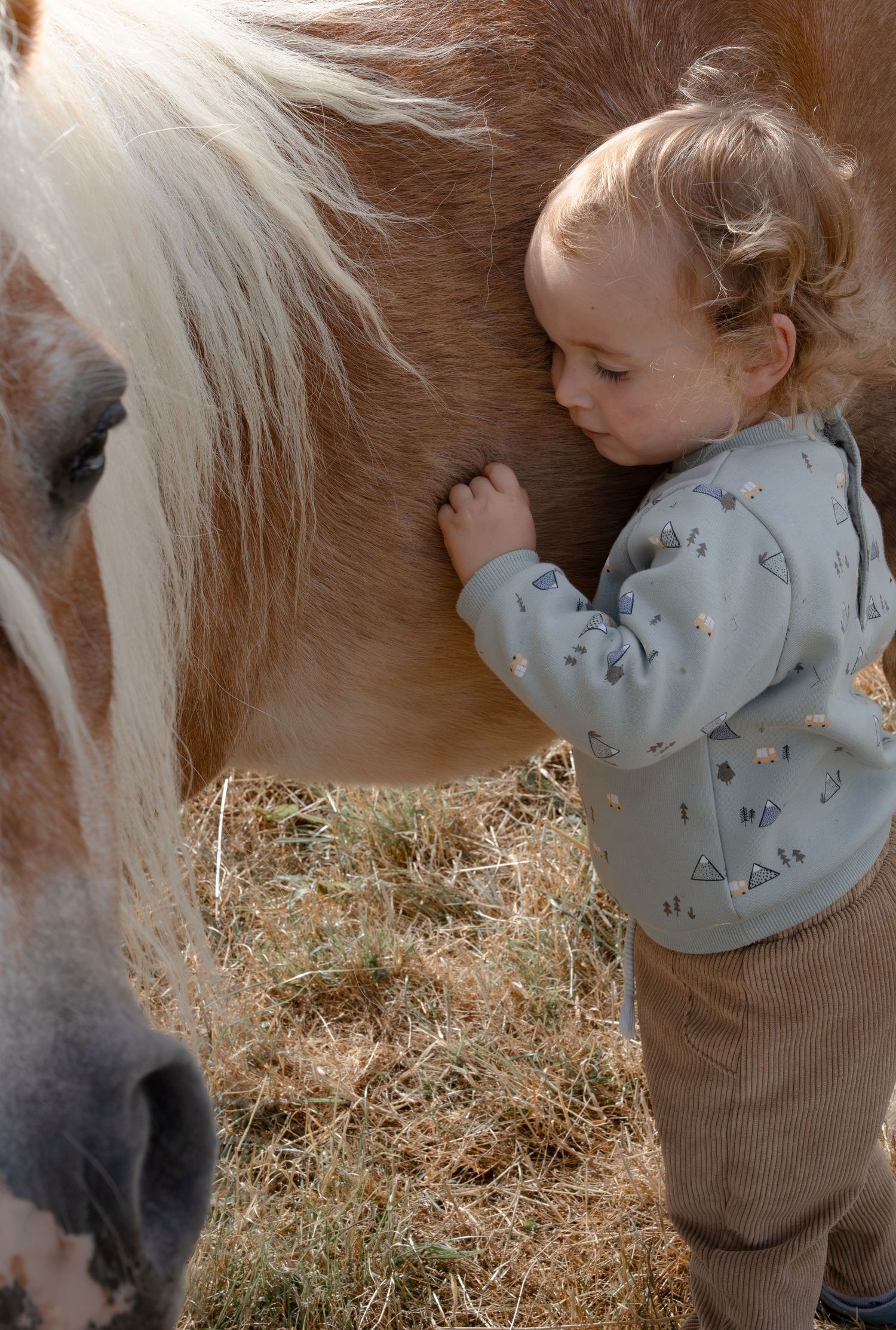 poney et son cavalier enfant nouvelle aquitaine
