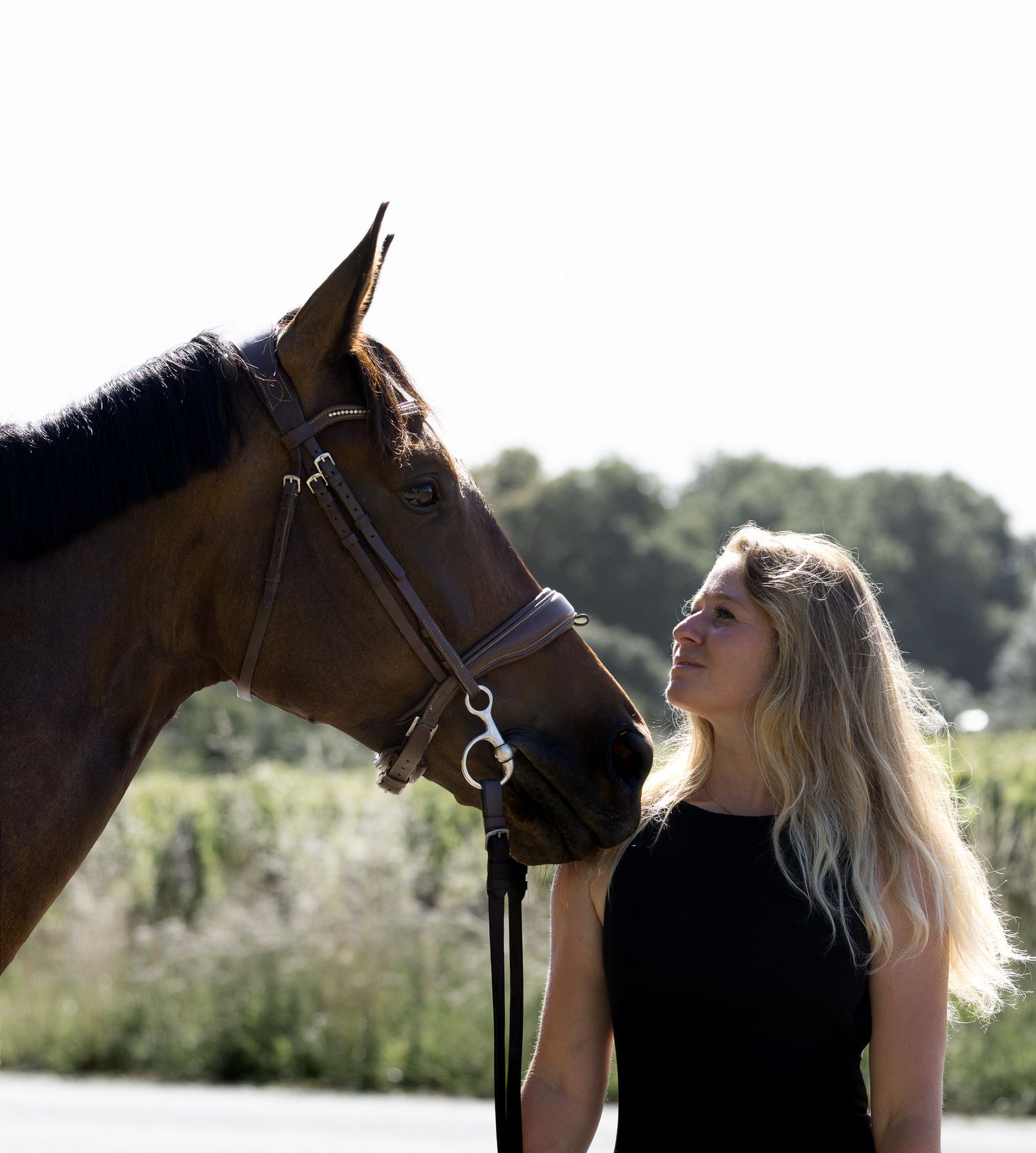 Photographe professionnelle portraitiste animalière, la photographie équine avec cheval et les photo chien. Pyrénées-atlantiques gironde