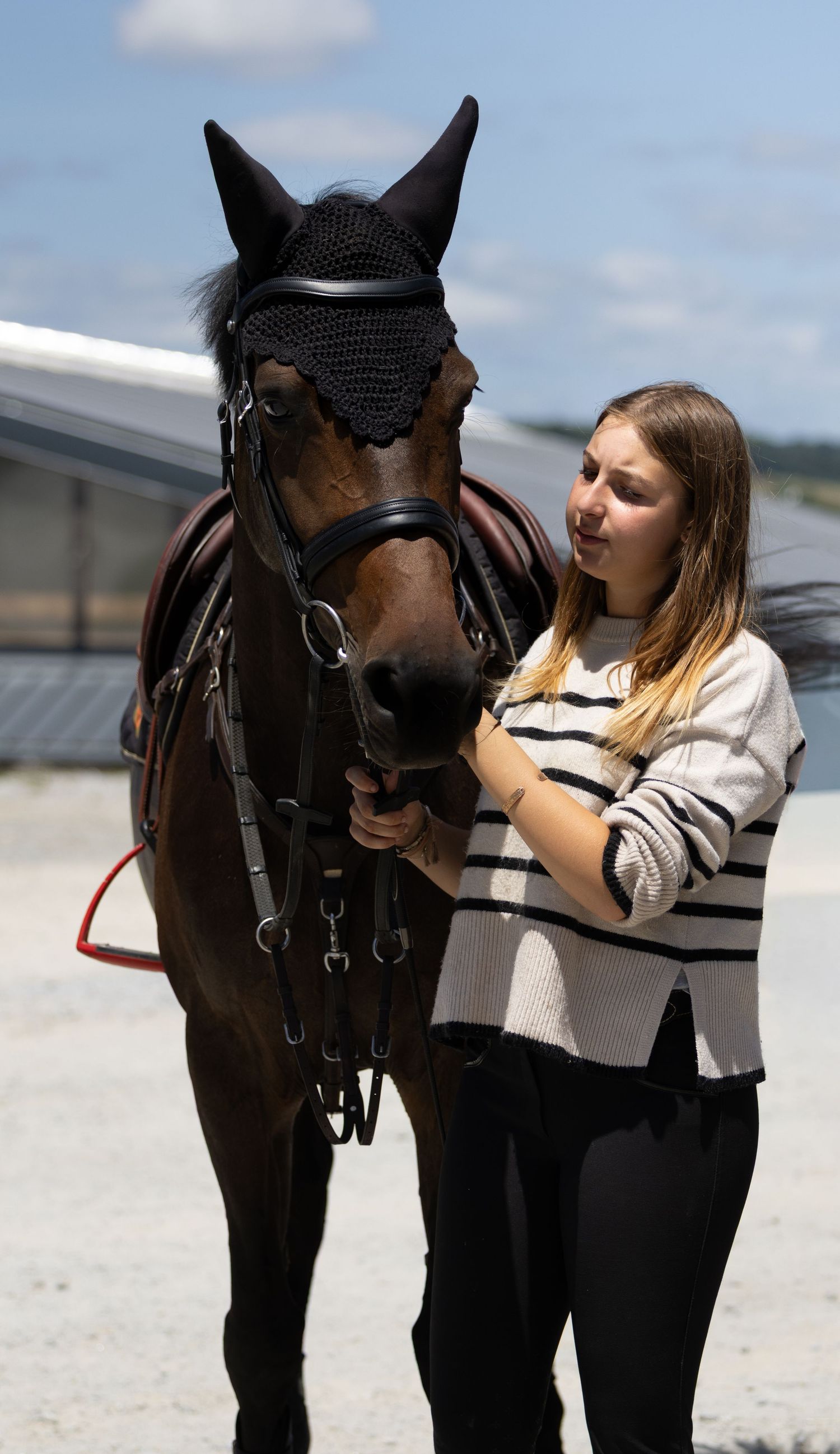 Photographe professionnelle portraitiste animalière, la photographie équine avec cheval et les photo chien. Pyrénées-atlantiques gironde