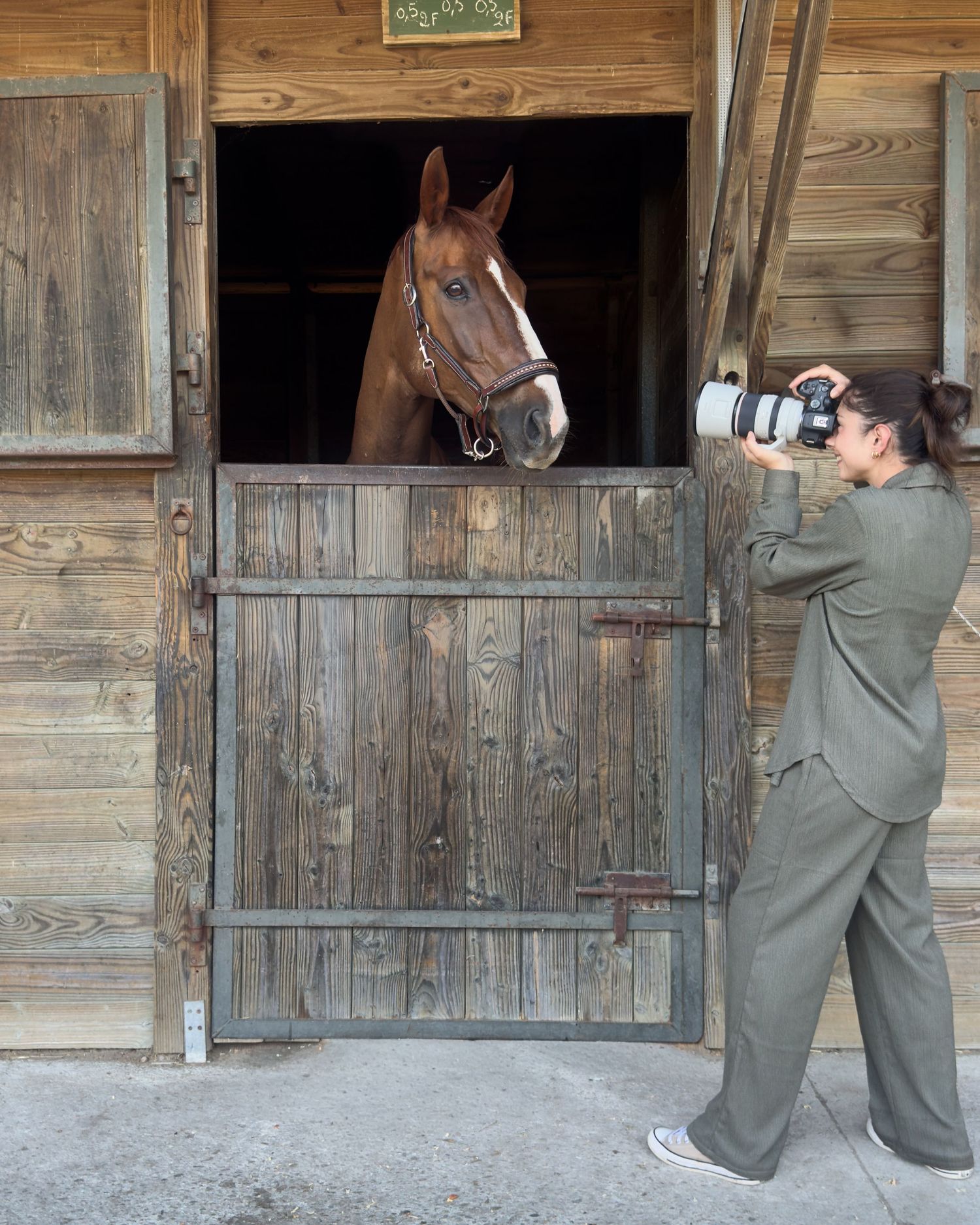 Photographe professionnelle portraitiste animalière, la photographie équine avec cheval et les photo chien. Pyrénées-atlantiques gironde
