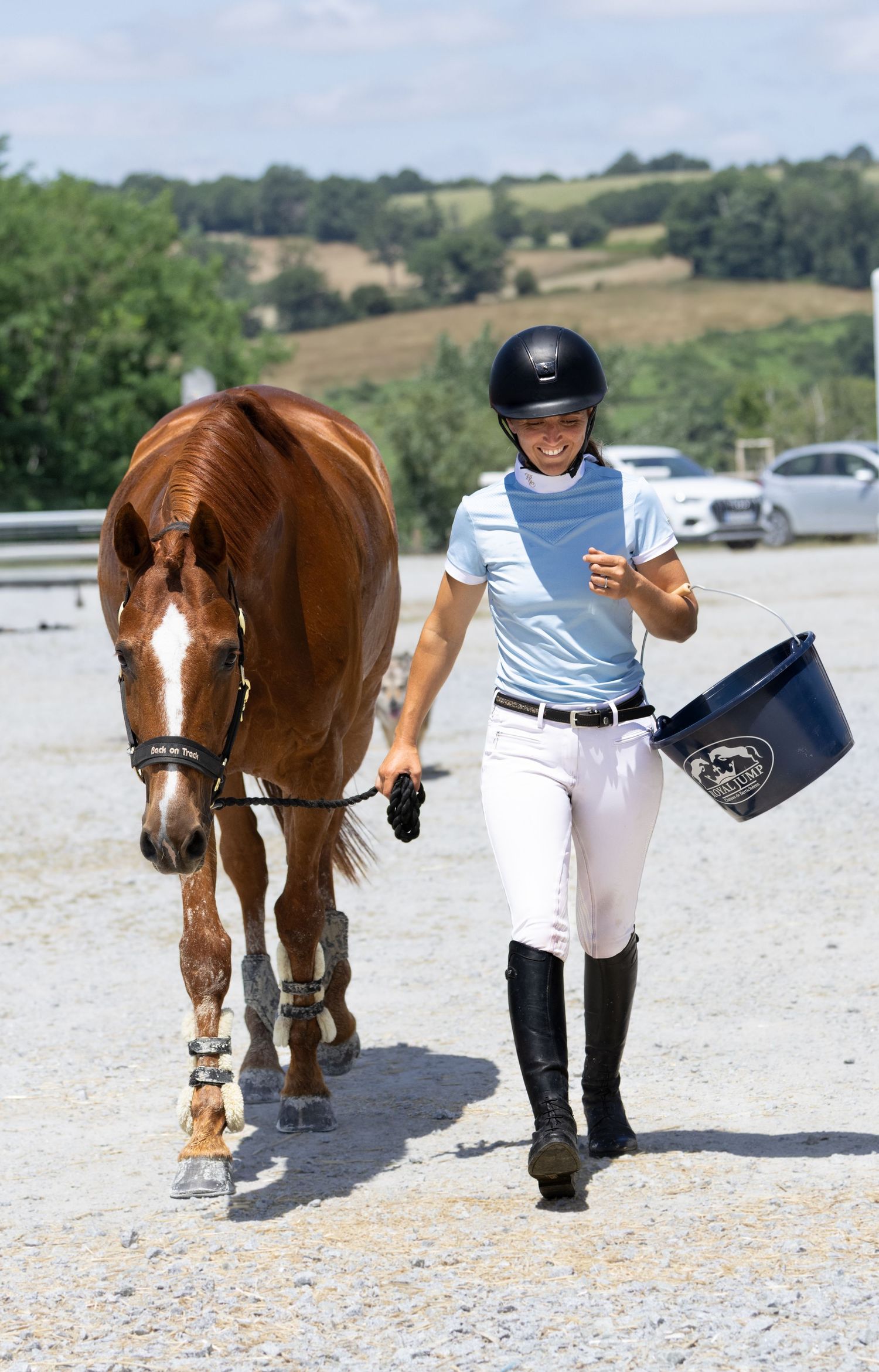 Photographe professionnelle portraitiste animalière, la photographie équine avec cheval et les photo chien. Pyrénées-atlantiques gironde