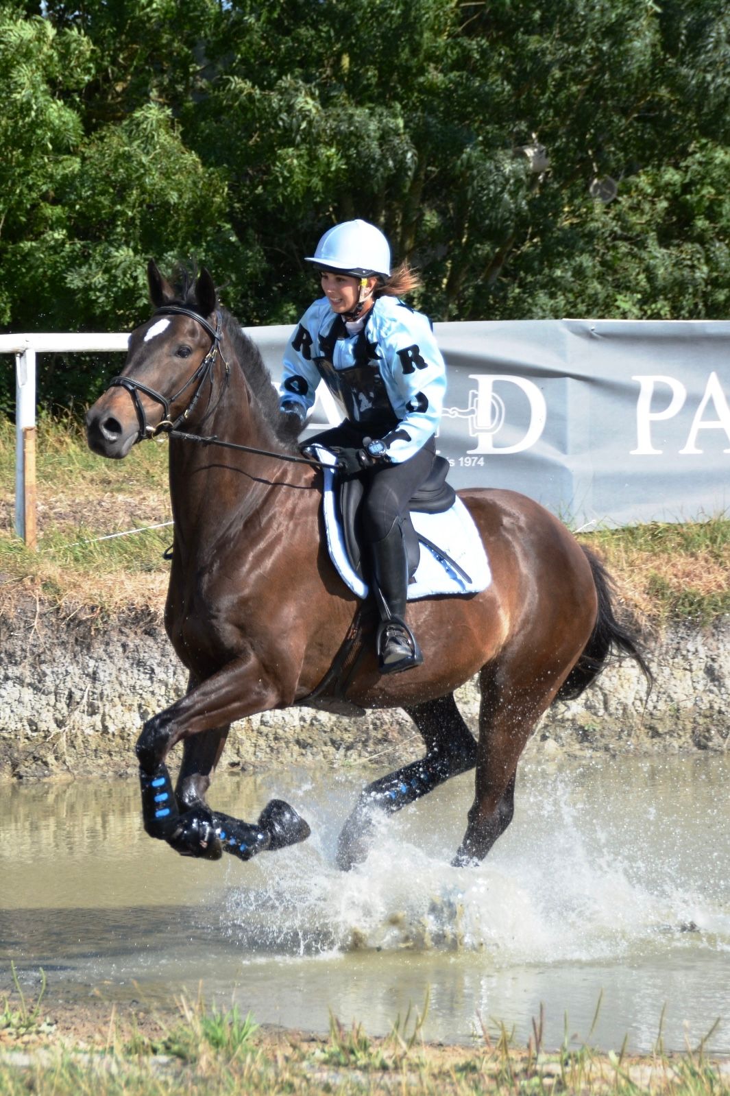 Photographe professionnelle portraitiste animalière, la photographie équine avec cheval et les photo chien. Pyrénées-atlantiques gironde