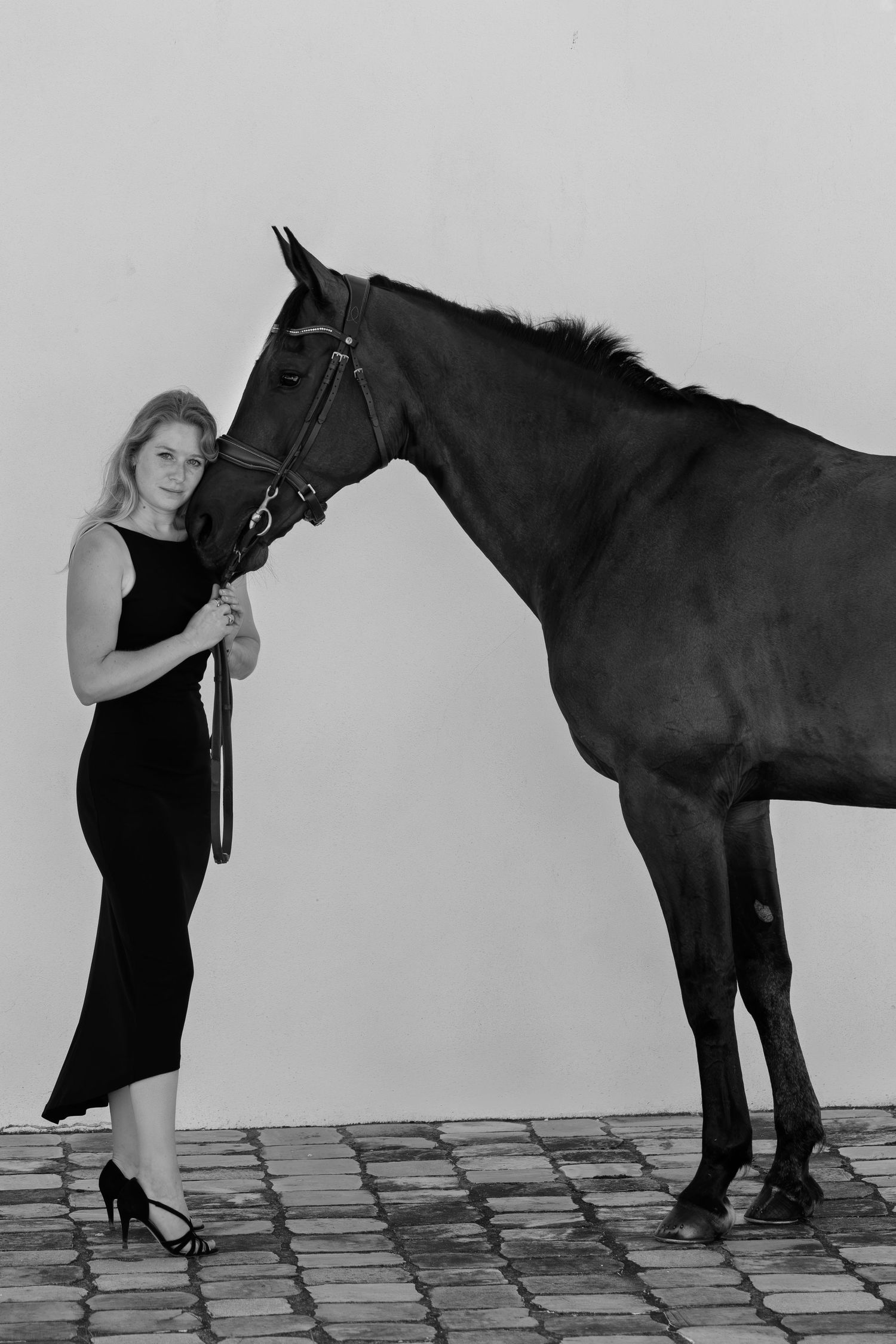 Photographe professionnelle portraitiste animalière, la photographie équine avec cheval et les photo chien. Pyrénées-atlantiques gironde