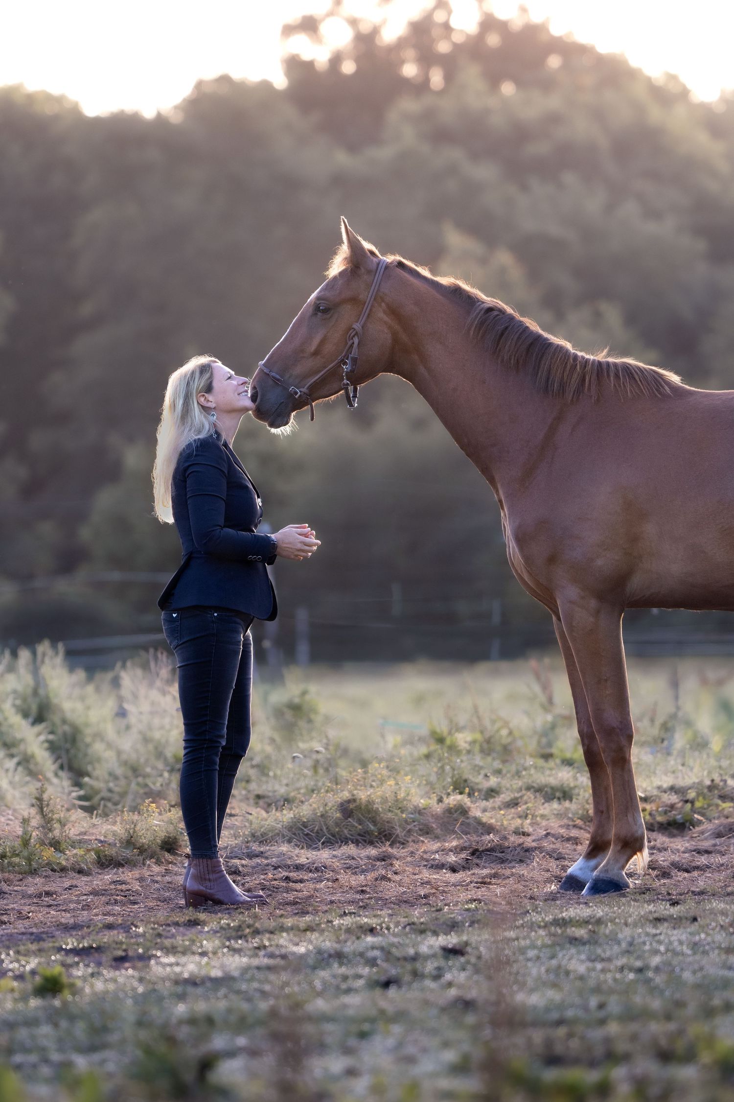 Cavalière avec son cheval en forêt dans les landes