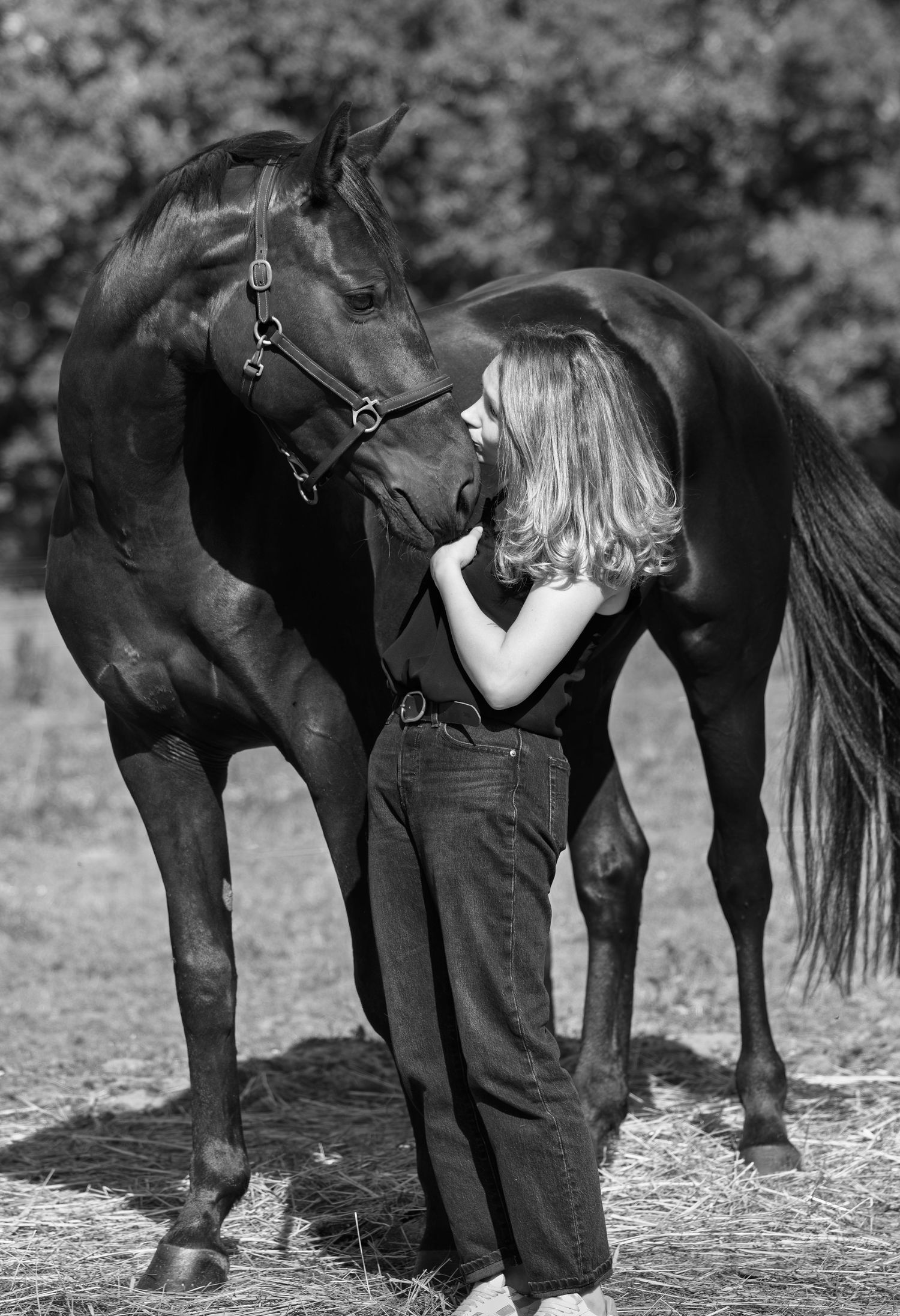 Photographe professionnelle portraitiste animalière, la photographie équine avec cheval et les photo chien. Pyrénées-atlantiques gironde