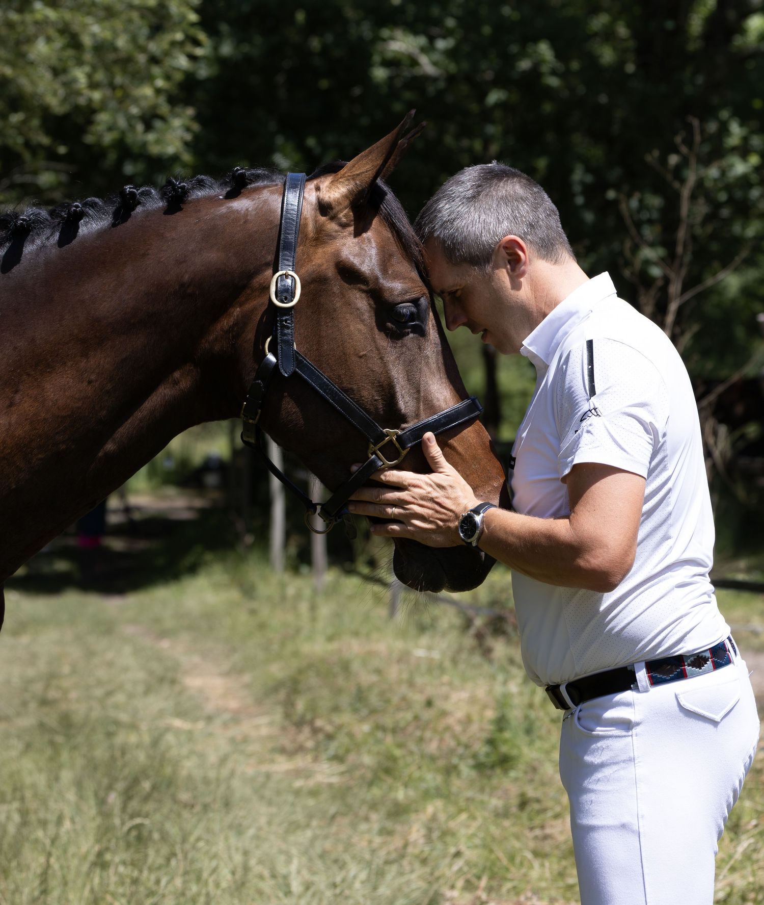 tete cheval et visage homme dans les champs dans les landes