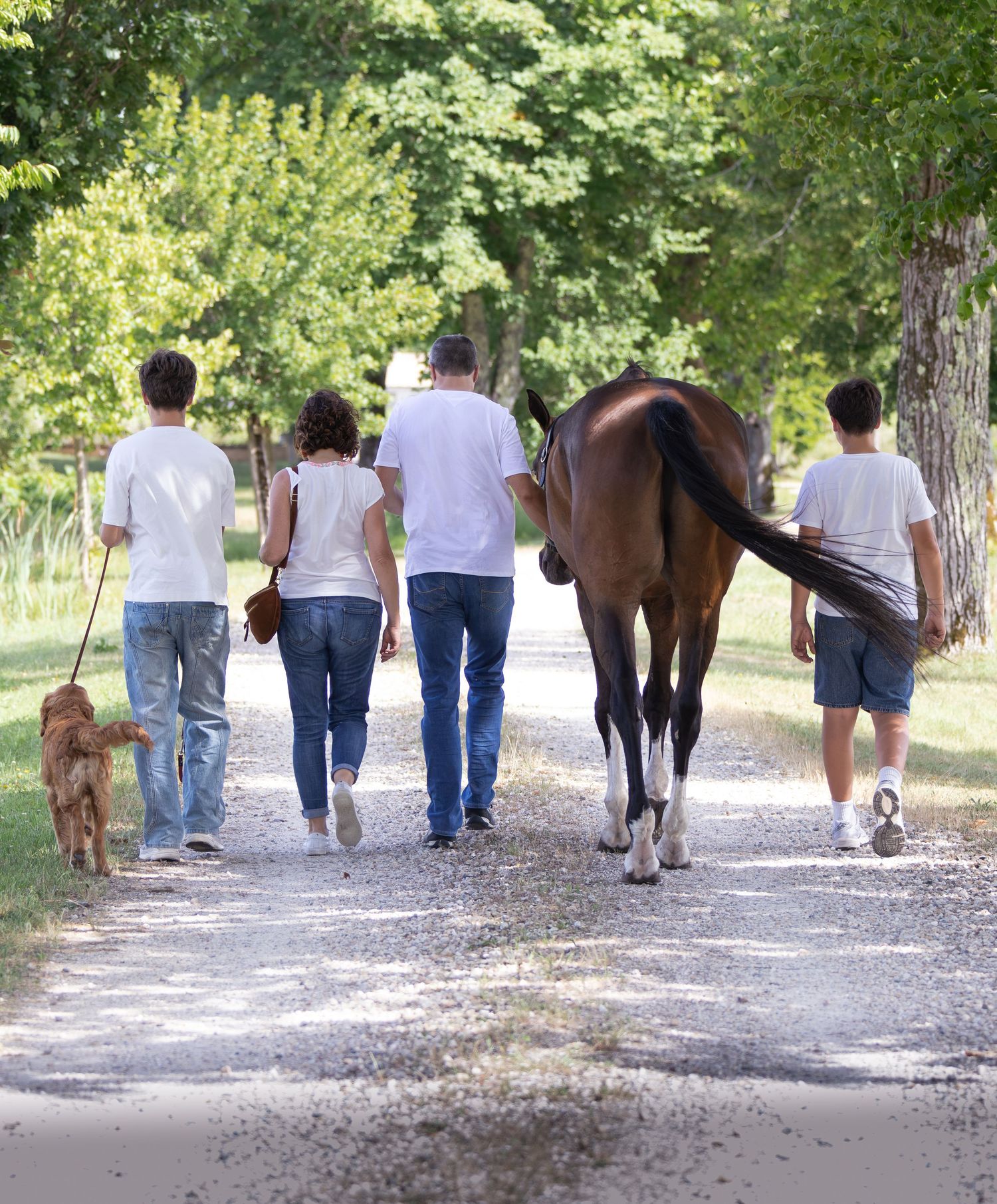 shooting famille avec son cheval et son chien à bordeaux