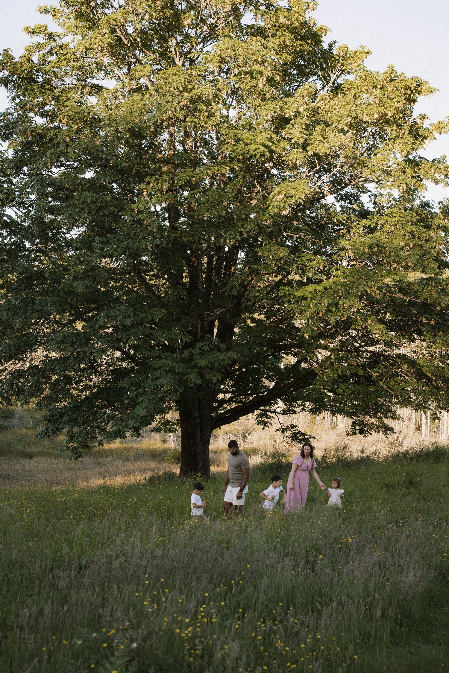 Family standing under a large green tree in a meadow, woman in pink dress with children on a sunny day.