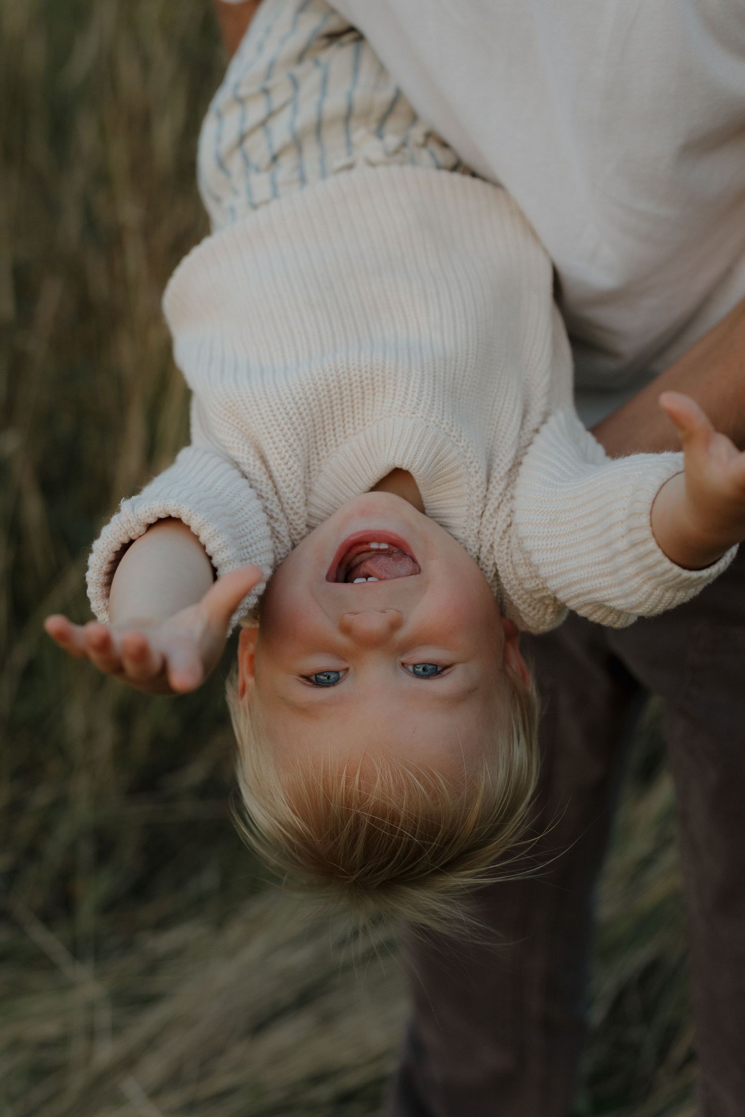 Laughing toddler held upside down outdoors in a cream ribbed sweater, with tall grass in the background.