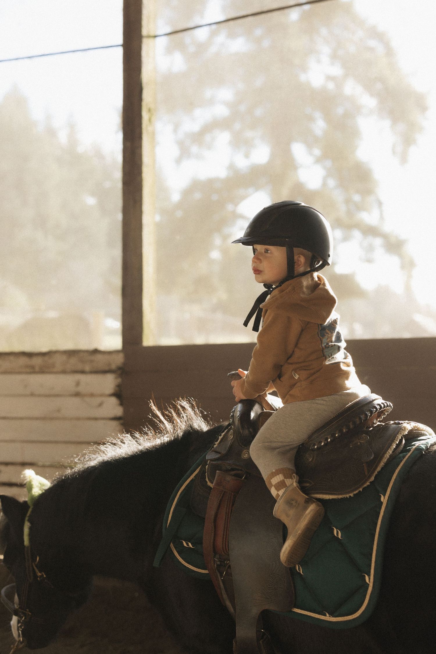 Young child wearing a safety helmet rides a dark horse in an indoor riding arena with sunlit background.