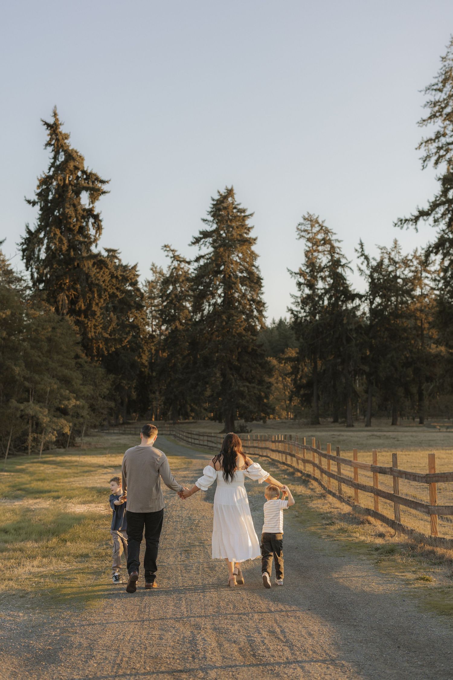 Family of four walking hand-in-hand down a sunlit gravel path lined with tall evergreen trees and a wooden fence.