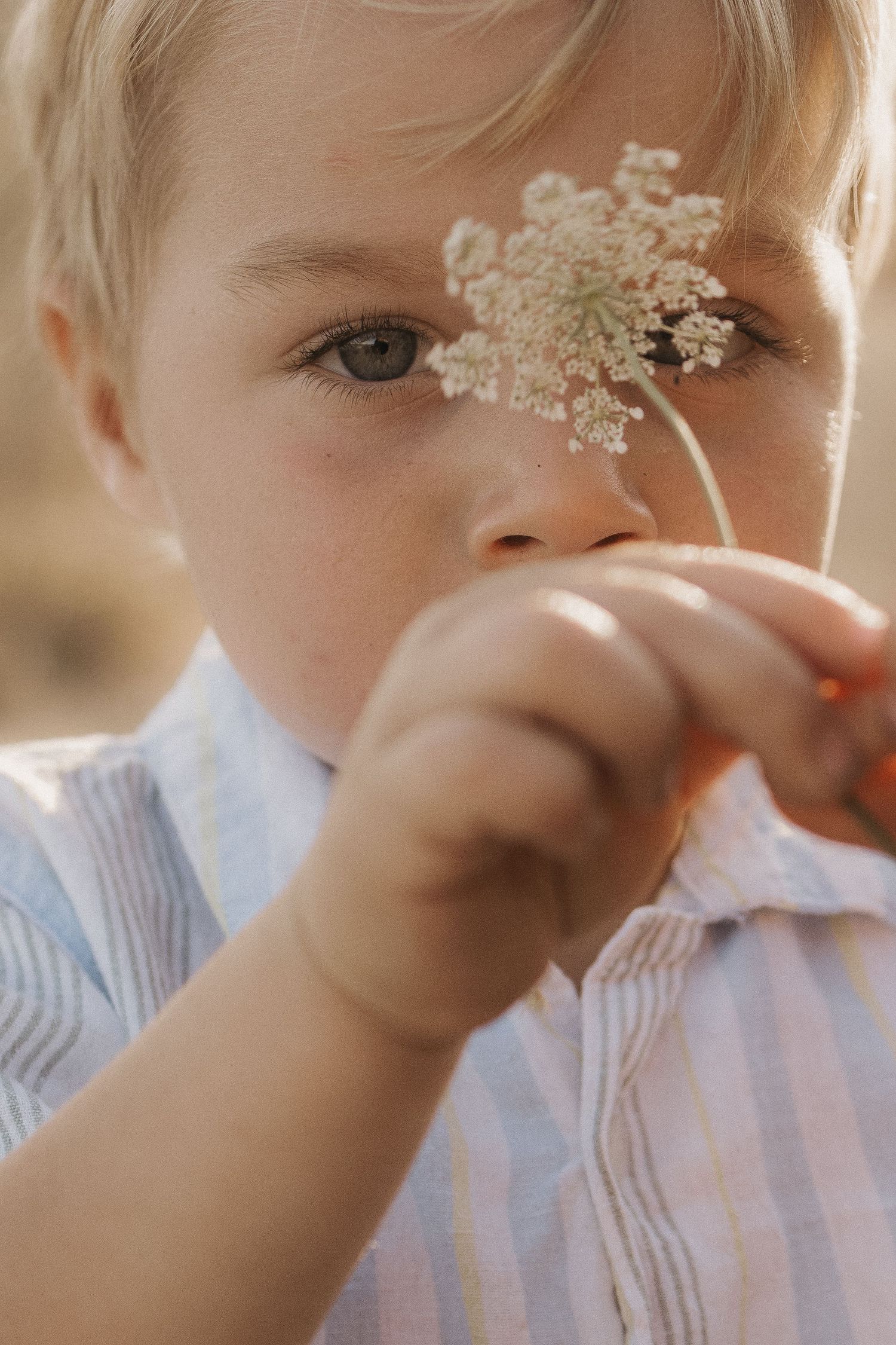 A young blonde toddler holds a delicate white wildflower up to his face outdoors in soft natural light.