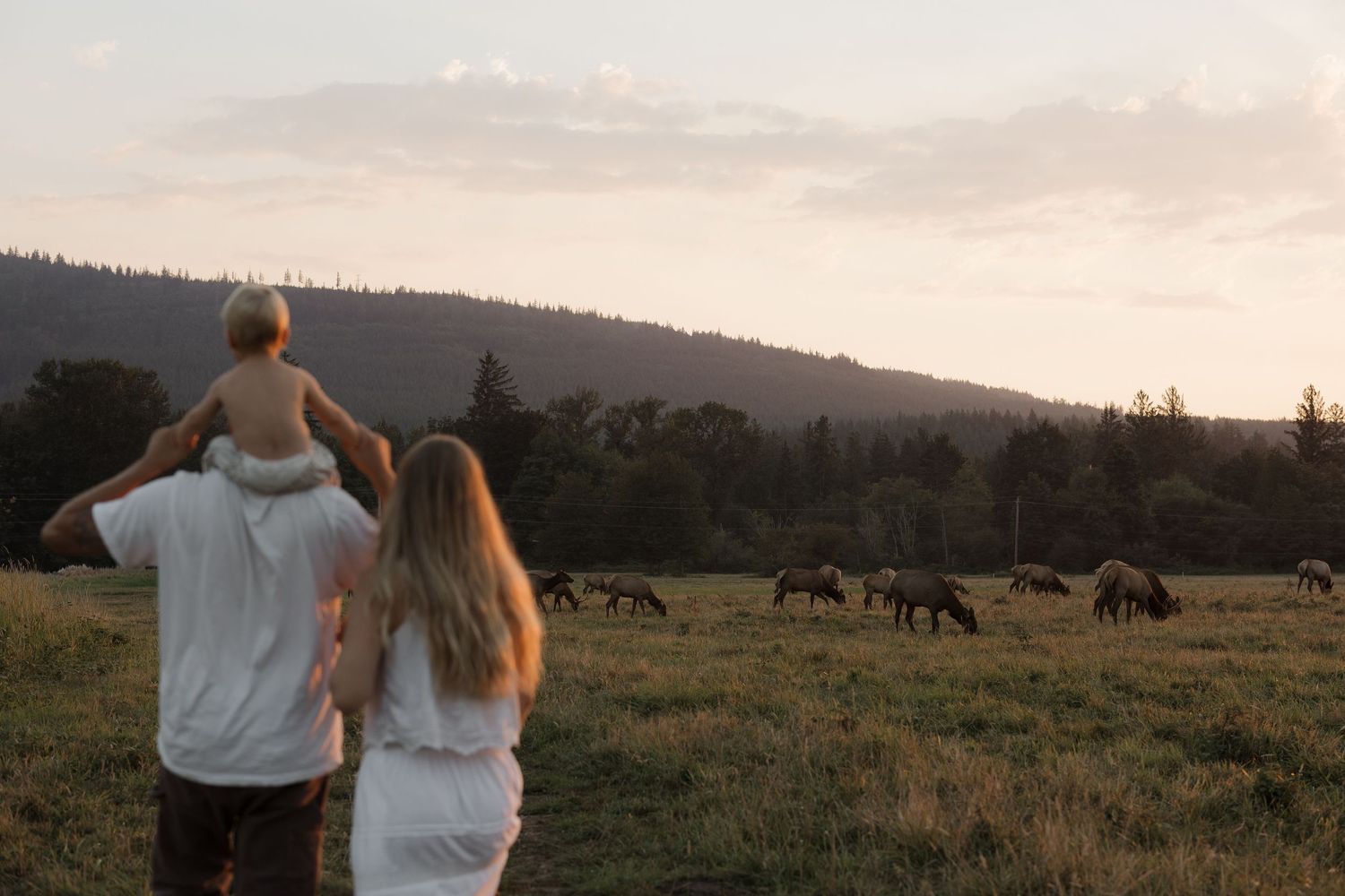 Family watching horses graze in a scenic field at sunset, with a child sitting on dad's shoulders.