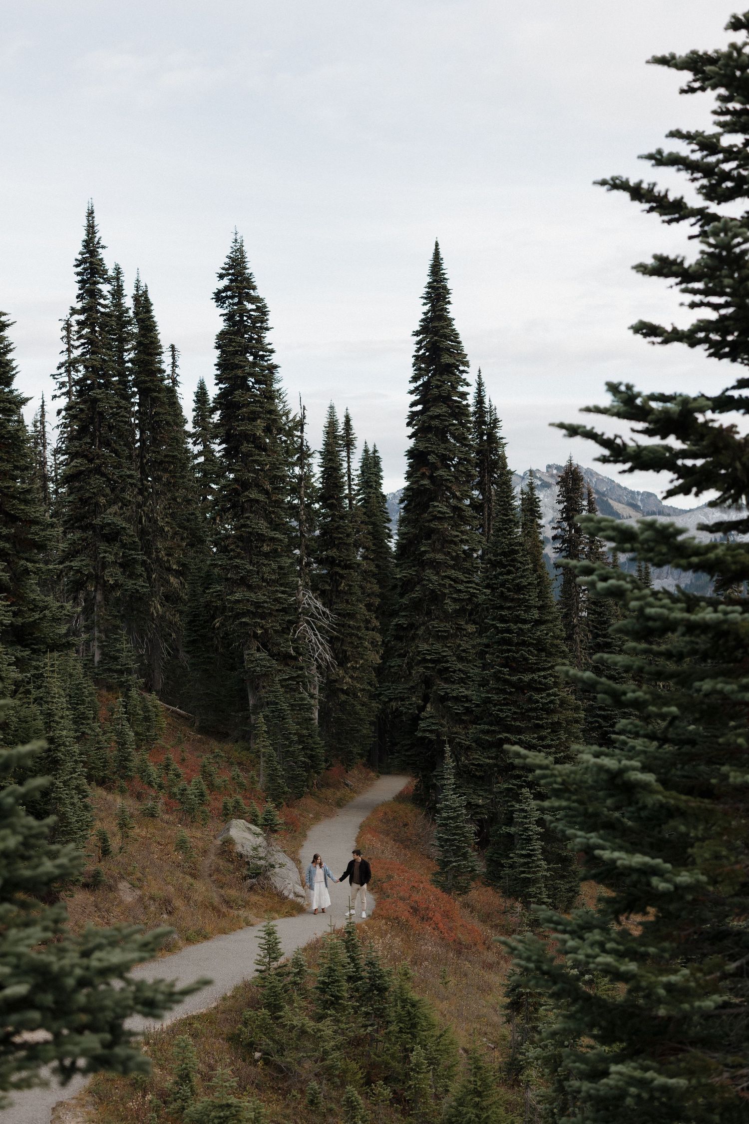 Couple walks hand-in-hand on a winding mountain trail surrounded by tall evergreen trees in a misty forest.