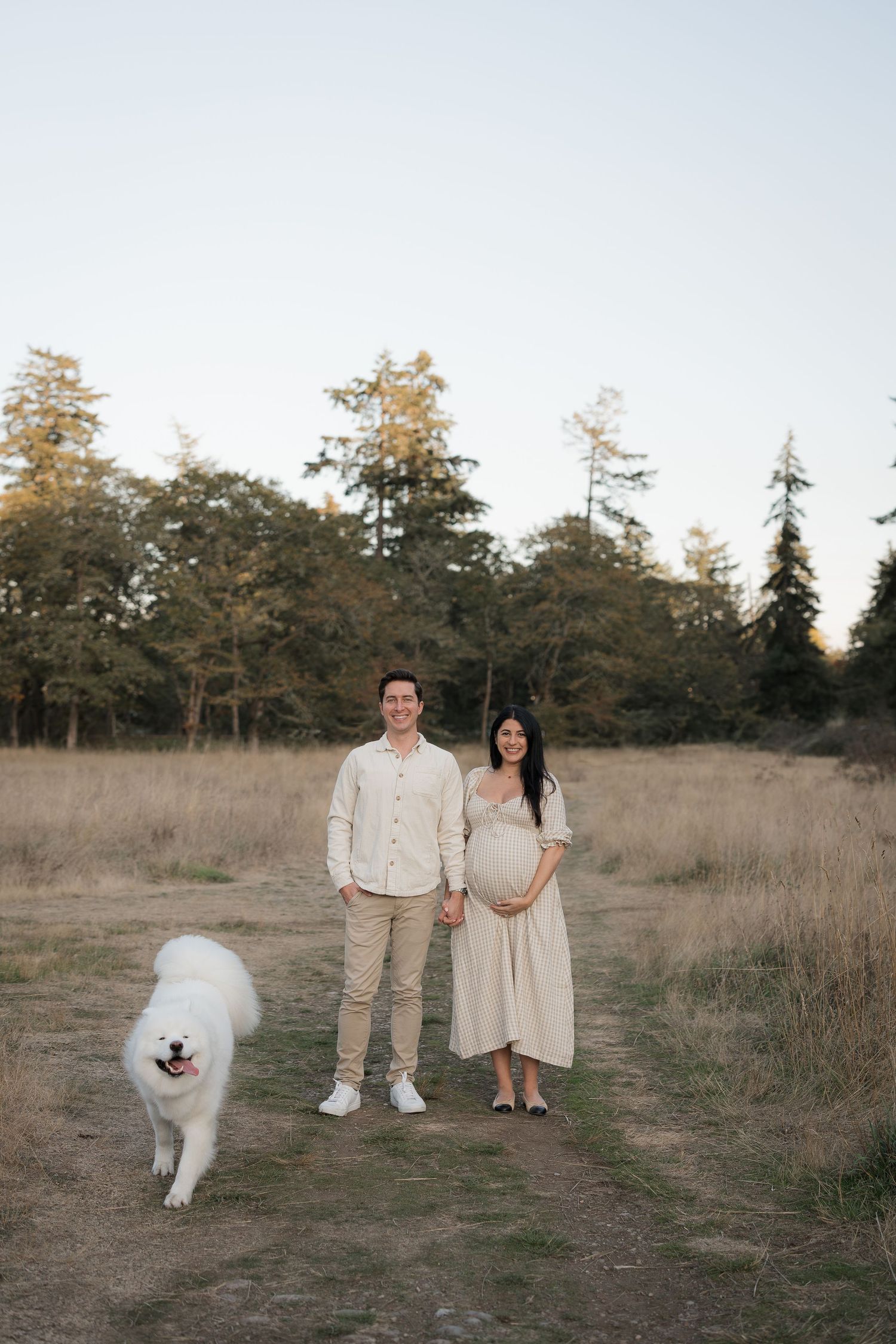 Expecting couple in cream outfits holding hands on a grassy path with a fluffy white Samoyed dog and evergreen trees behind them.