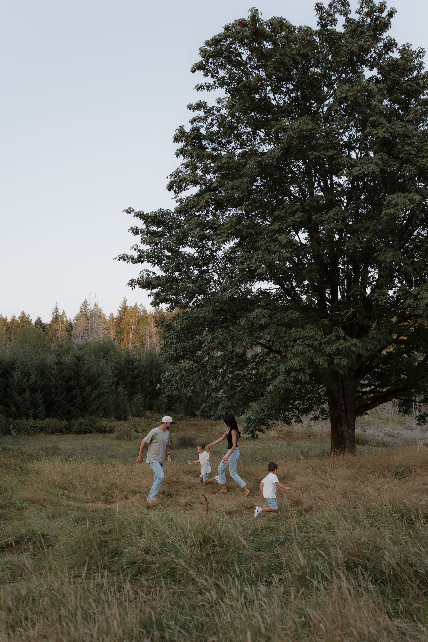 Family of four holding hands walking through a grassy meadow near a large tree at dusk.