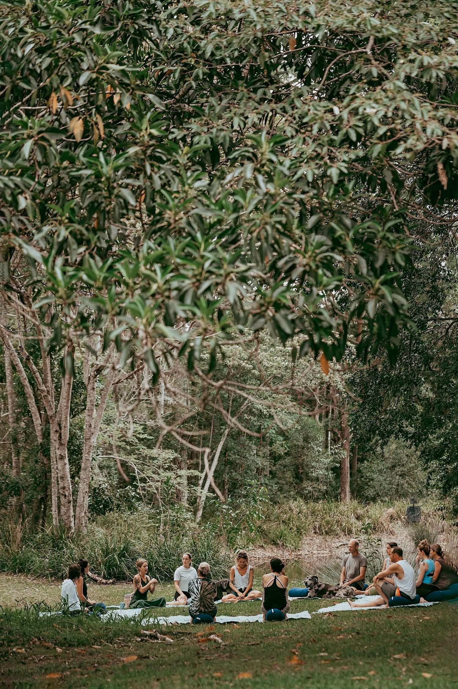 Retreat guests gathered in nature with Ali Mayfield on the Sunshine Coast