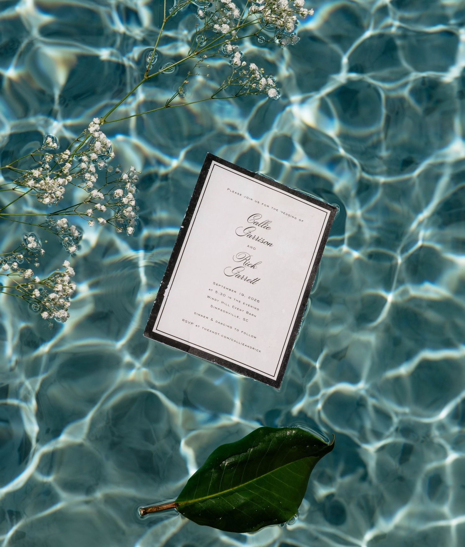 Elegant wedding invitation floating in a shimmering pool with baby's breath flowers and a green leaf.