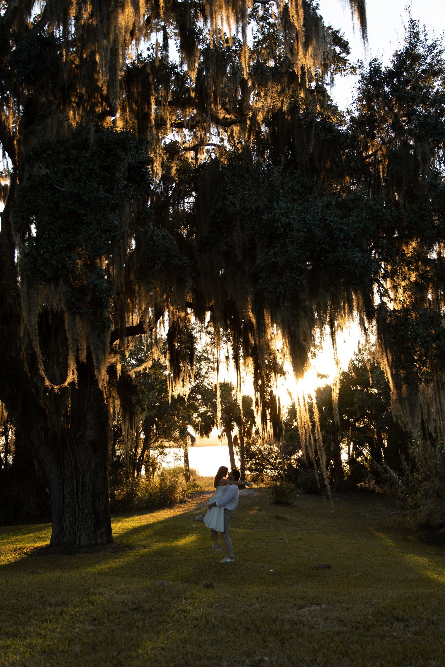 Woman in white dress standing under Spanish moss-draped oak trees at golden sunset near water.