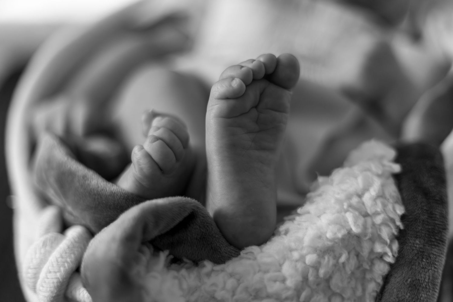 Black and white close-up photo of a newborn baby's tiny feet and hands wrapped in a soft blanket.