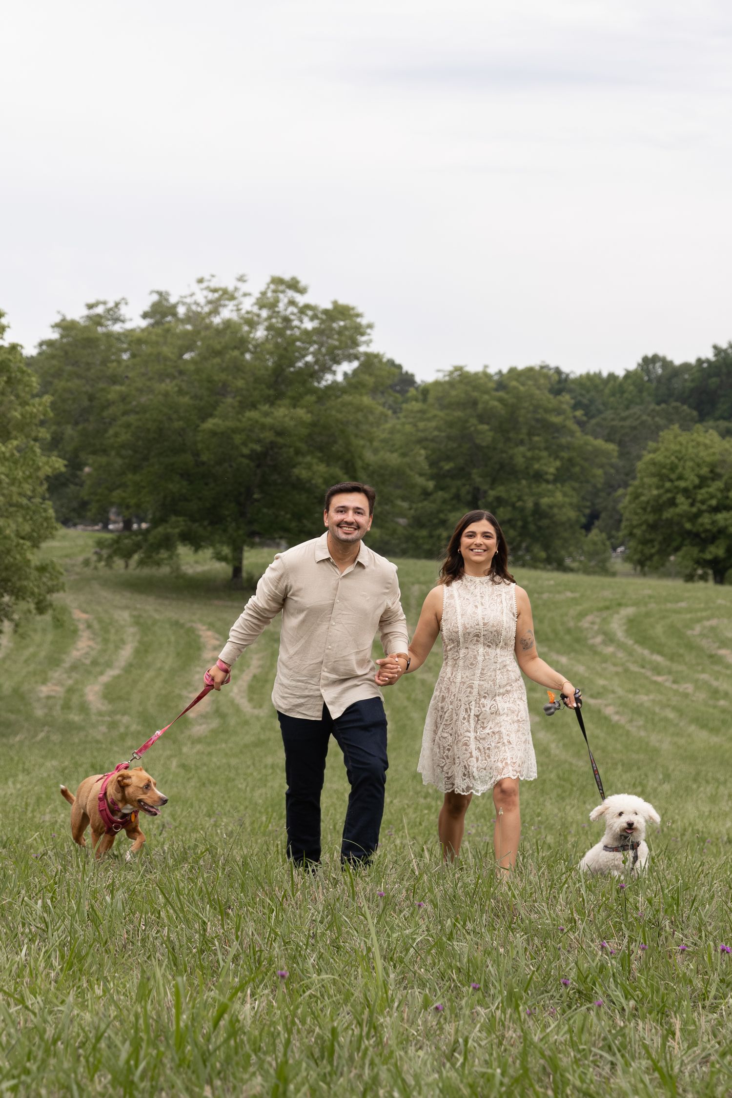 Smiling couple holding hands walking two dogs through a lush green field with trees in background.