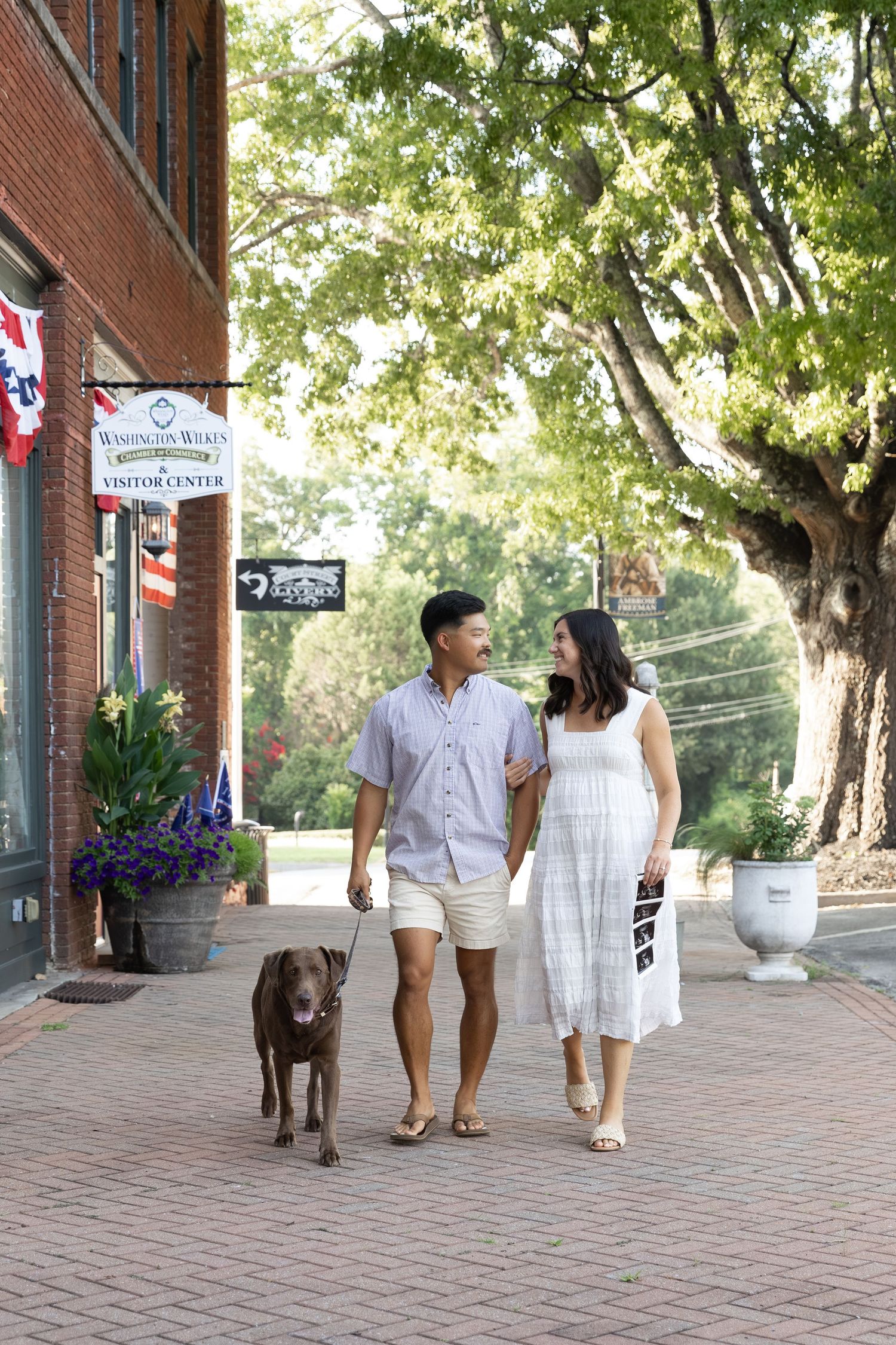 A couple walks their chocolate lab on a brick sidewalk in a charming small town, holding hands on a sunny day.