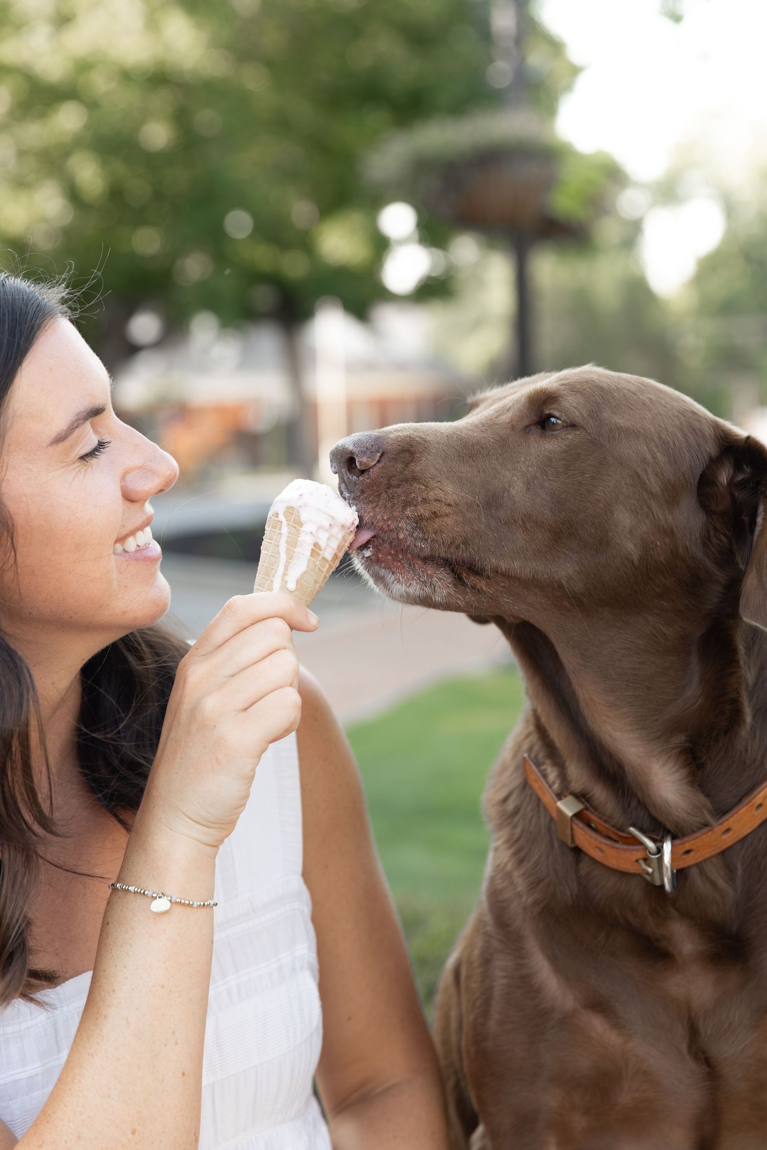 Smiling woman in white dress sharing ice cream cone with chocolate Labrador retriever outdoors.