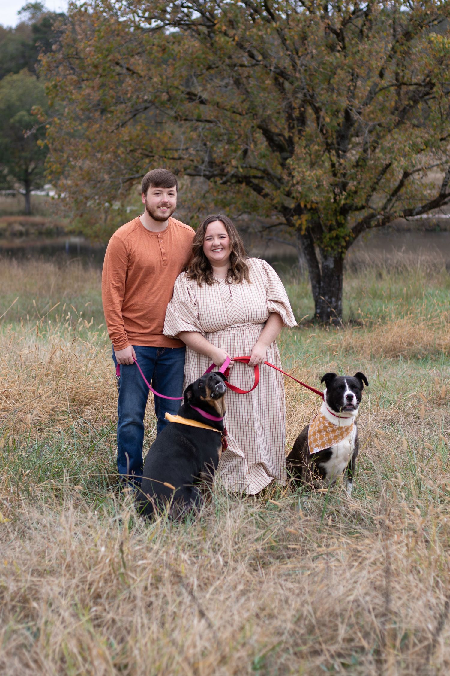 Couple posing outdoors in a fall field with two dogs on leashes, surrounded by autumn trees and golden grass.