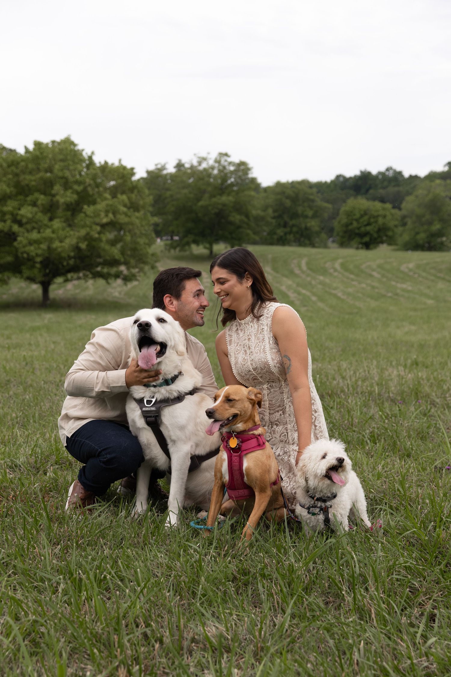 A couple kneels in a green field with three dogs, smiling at each other during an outdoor engagement photo session.