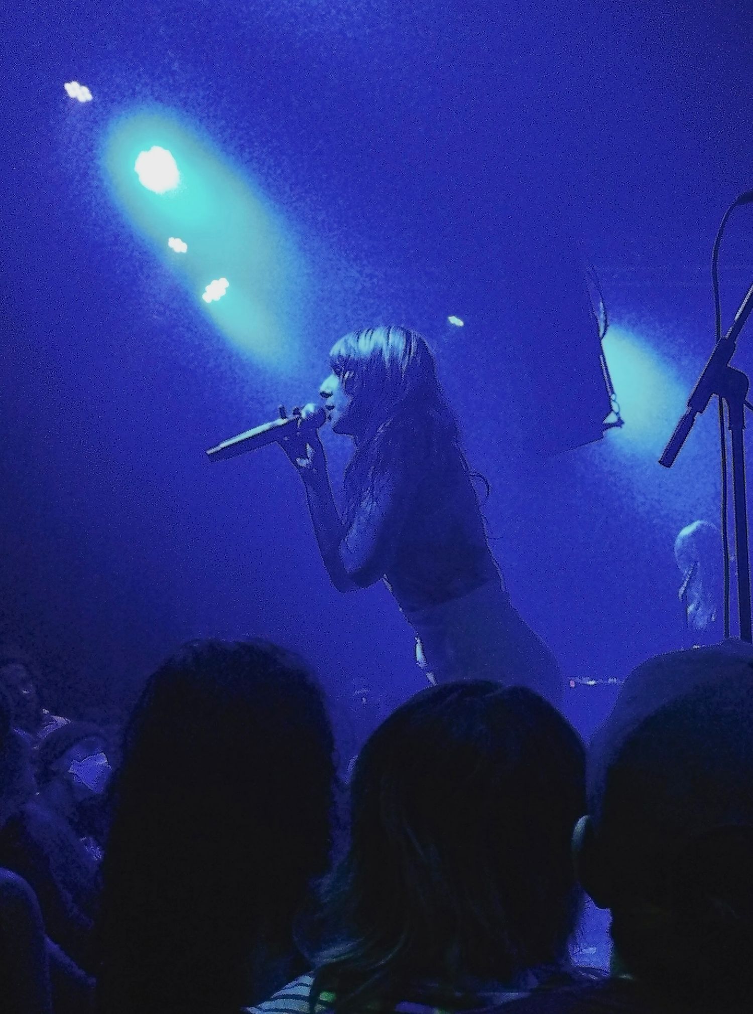 concert photography by Gwyn Wallace