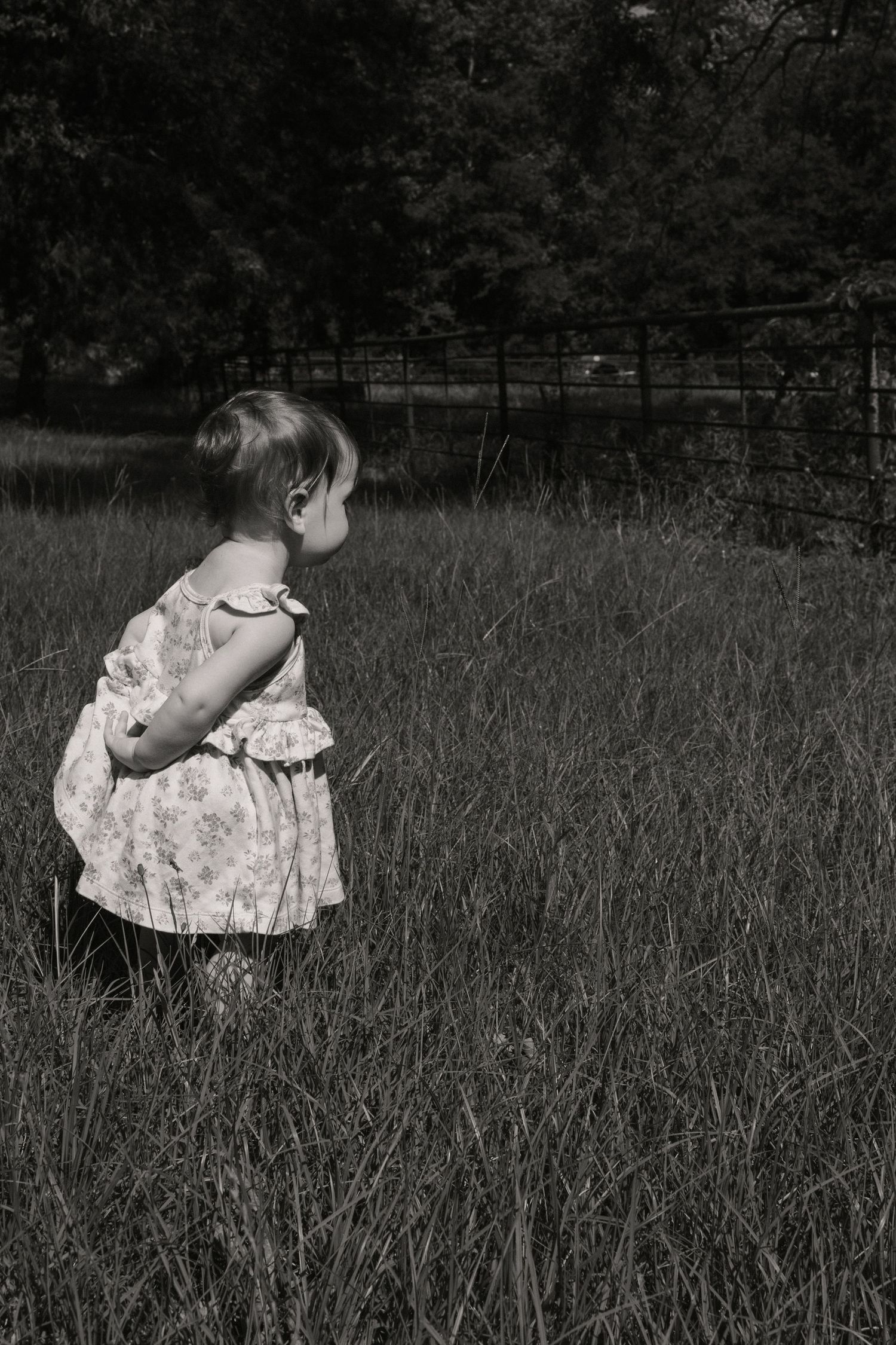 Young toddler girl in a floral dress standing in a tall grass field in black and white.