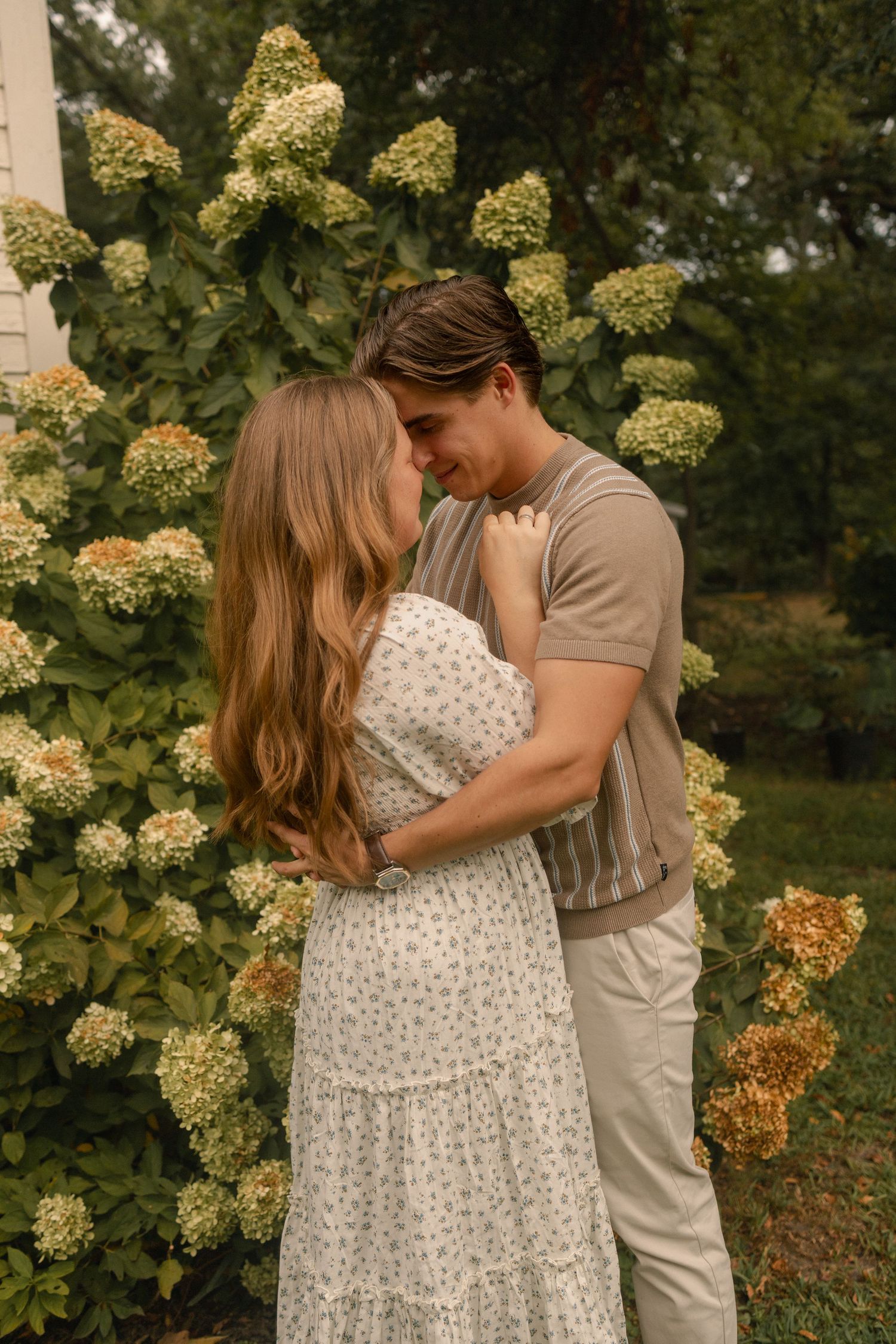 A romantic couple embraces tenderly in front of blooming white hydrangea bushes in a garden.