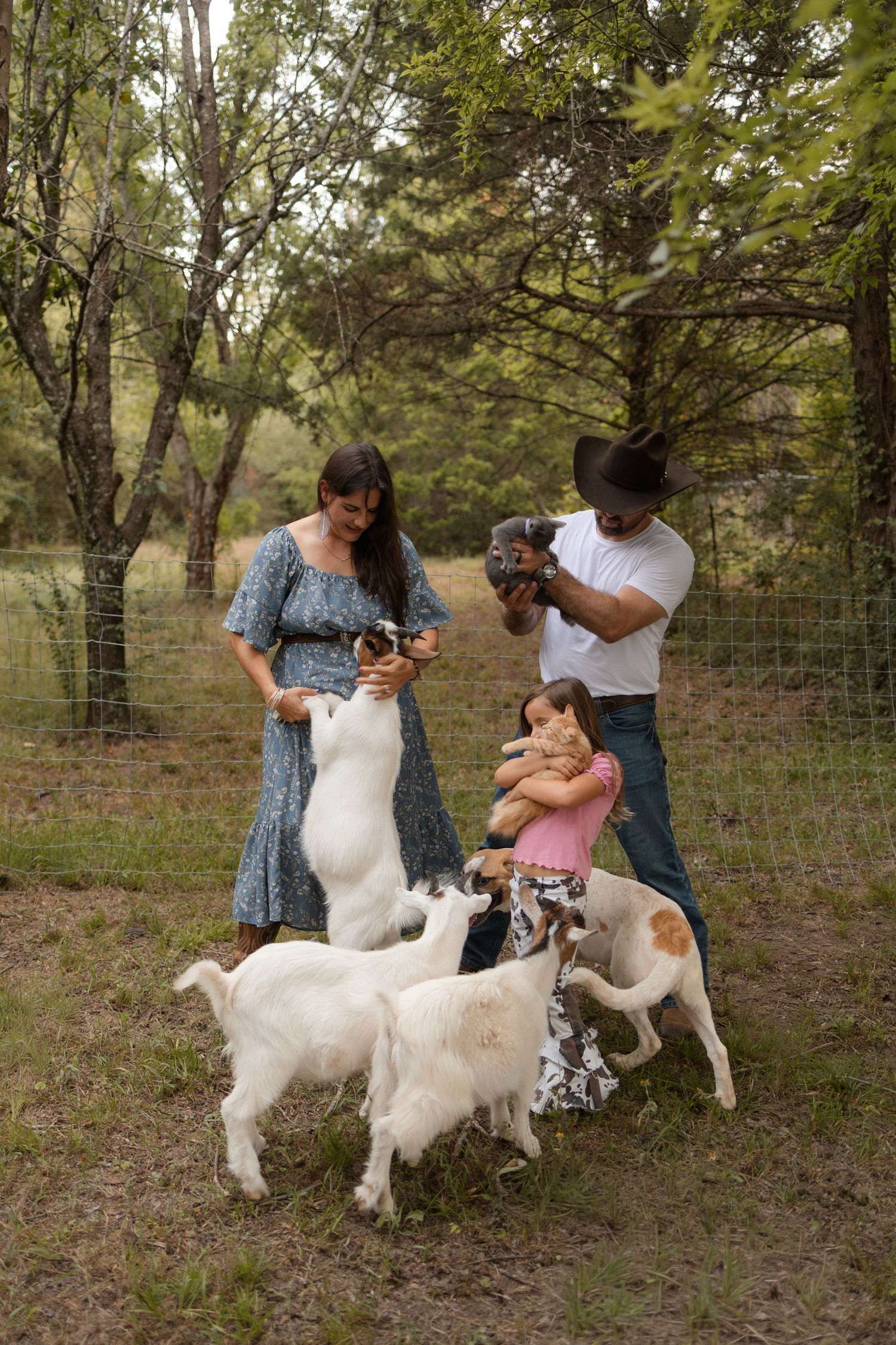 A family interacts with playful baby goats in a fenced wooded area, father photographing the moment.