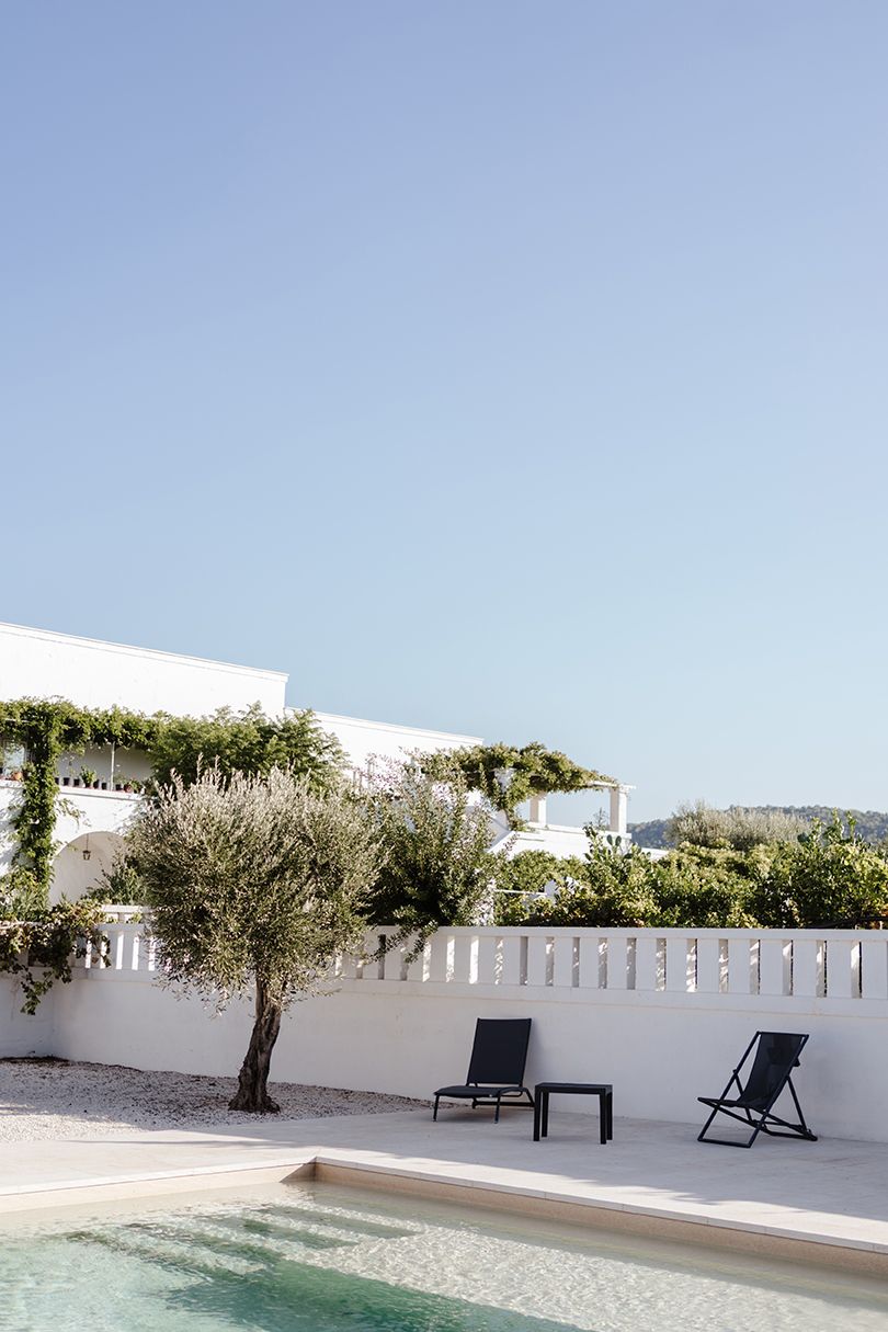 Minimalist white Mediterranean villa poolside with olive tree, lounge chairs, and climbing greenery under clear blue sky.