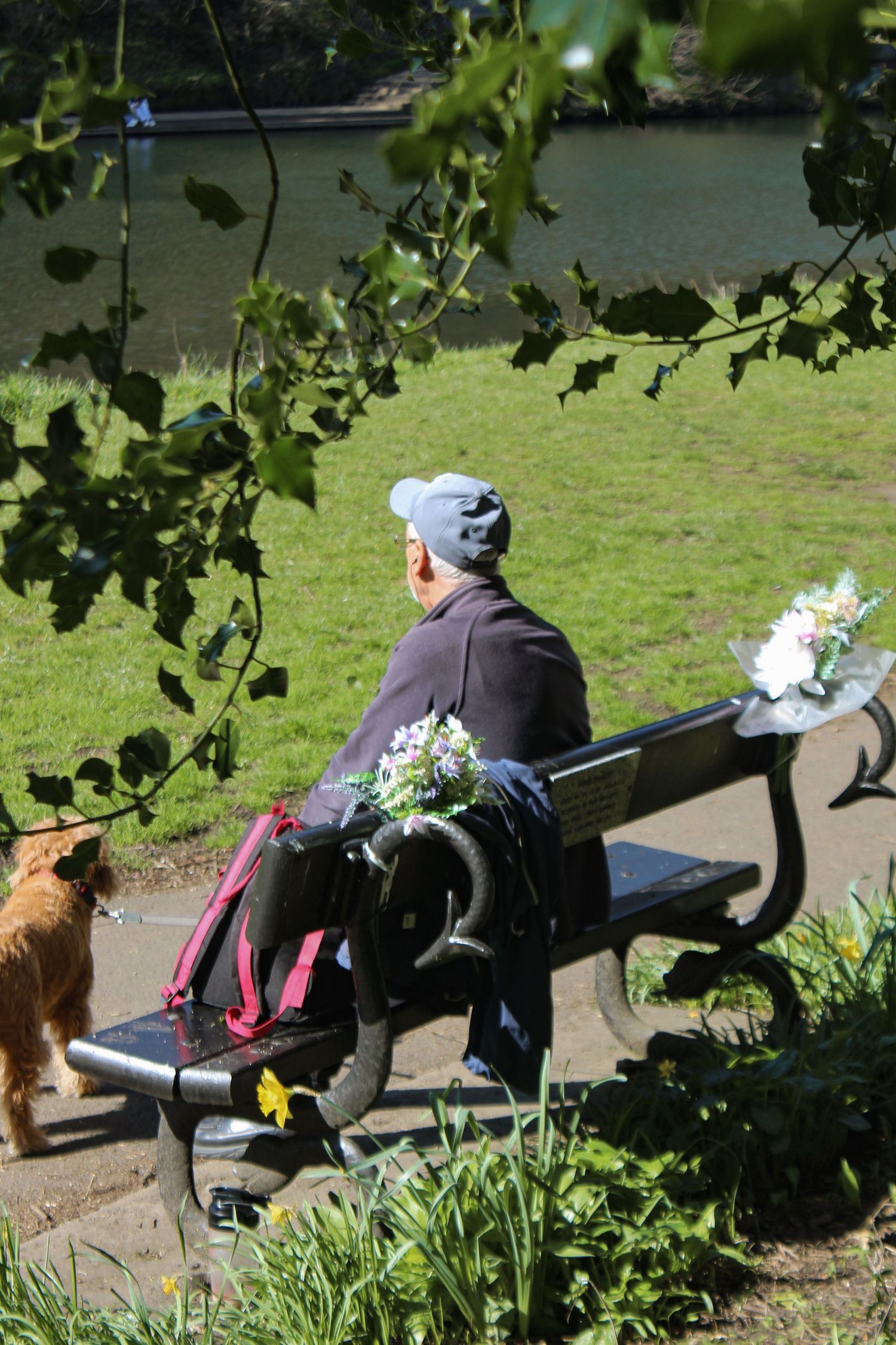 Street photography. Man sat on a bench with his dog. Flowers and a bag on the bench. Beautiful river in the background. Framed by branches.