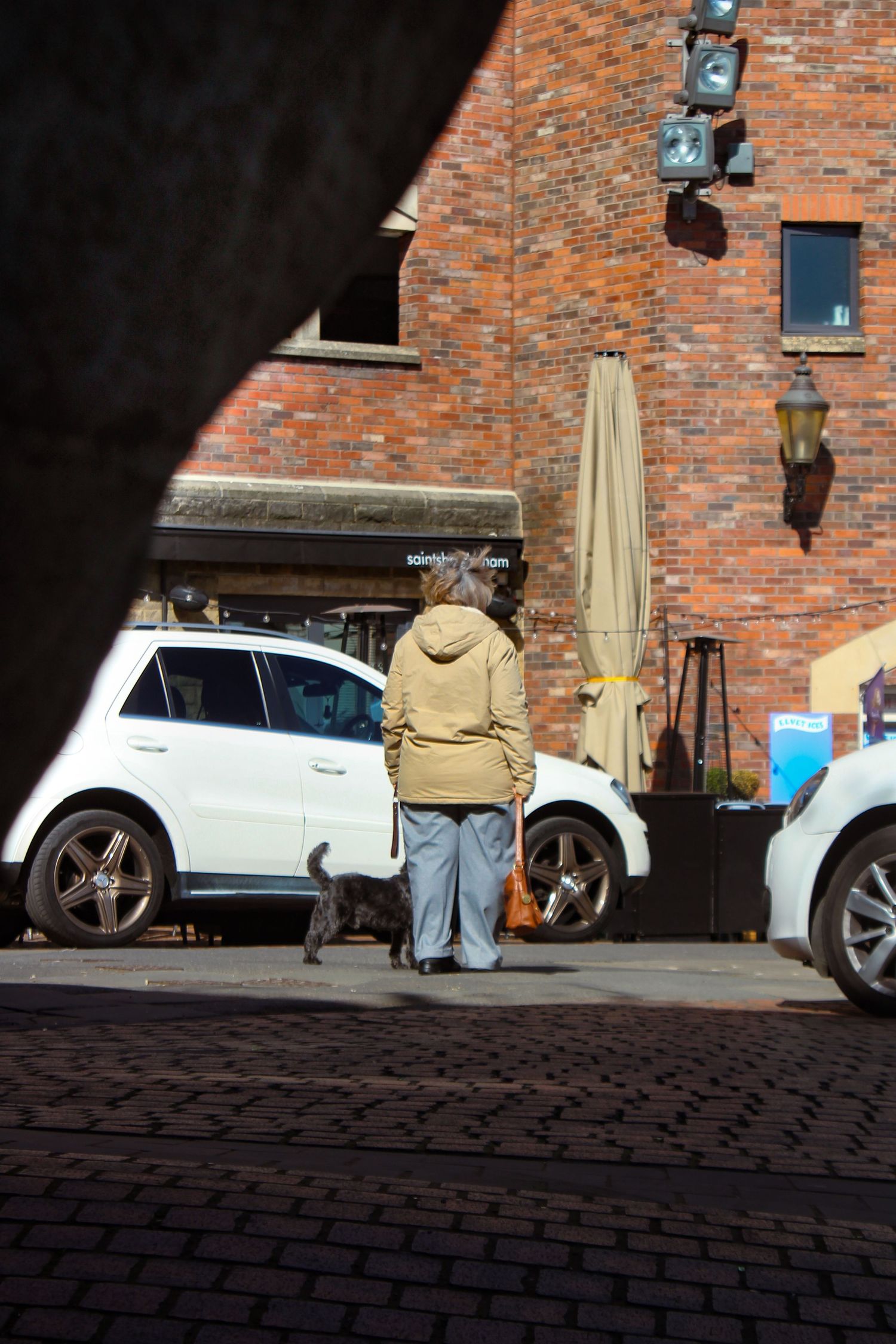 Street photography. Photo of a woman walking her dog. Well composed.