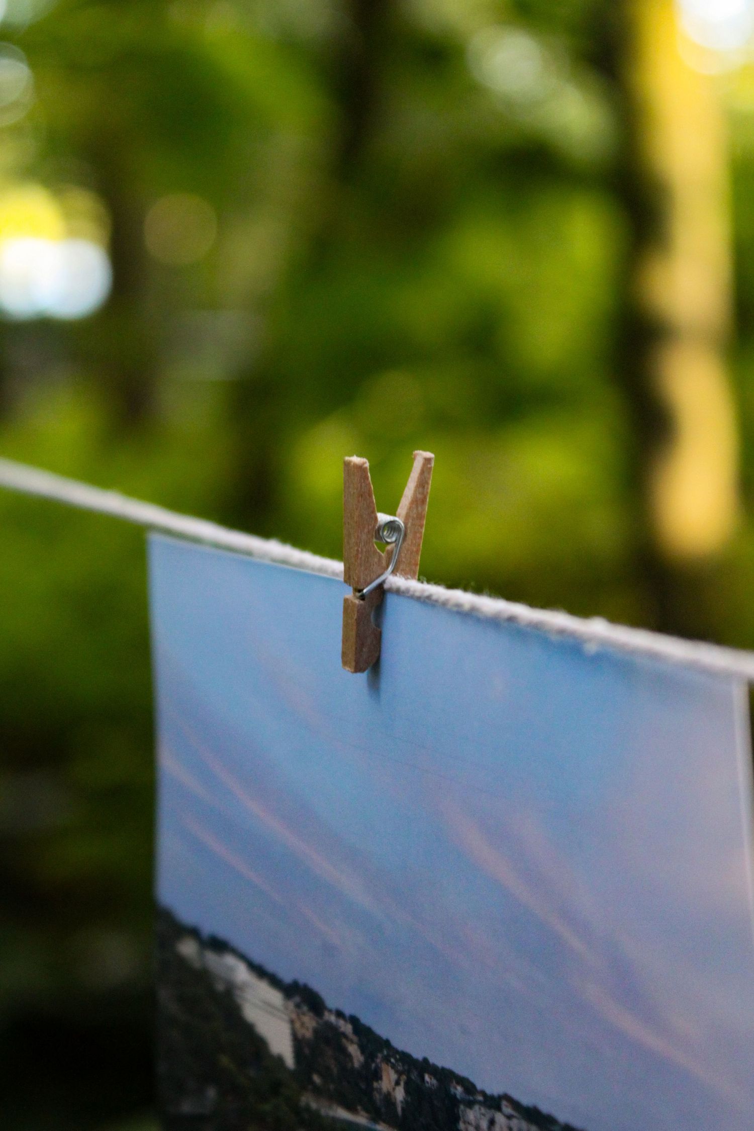 Aesthetic photo of a printed photo hung up on spring in a forest.