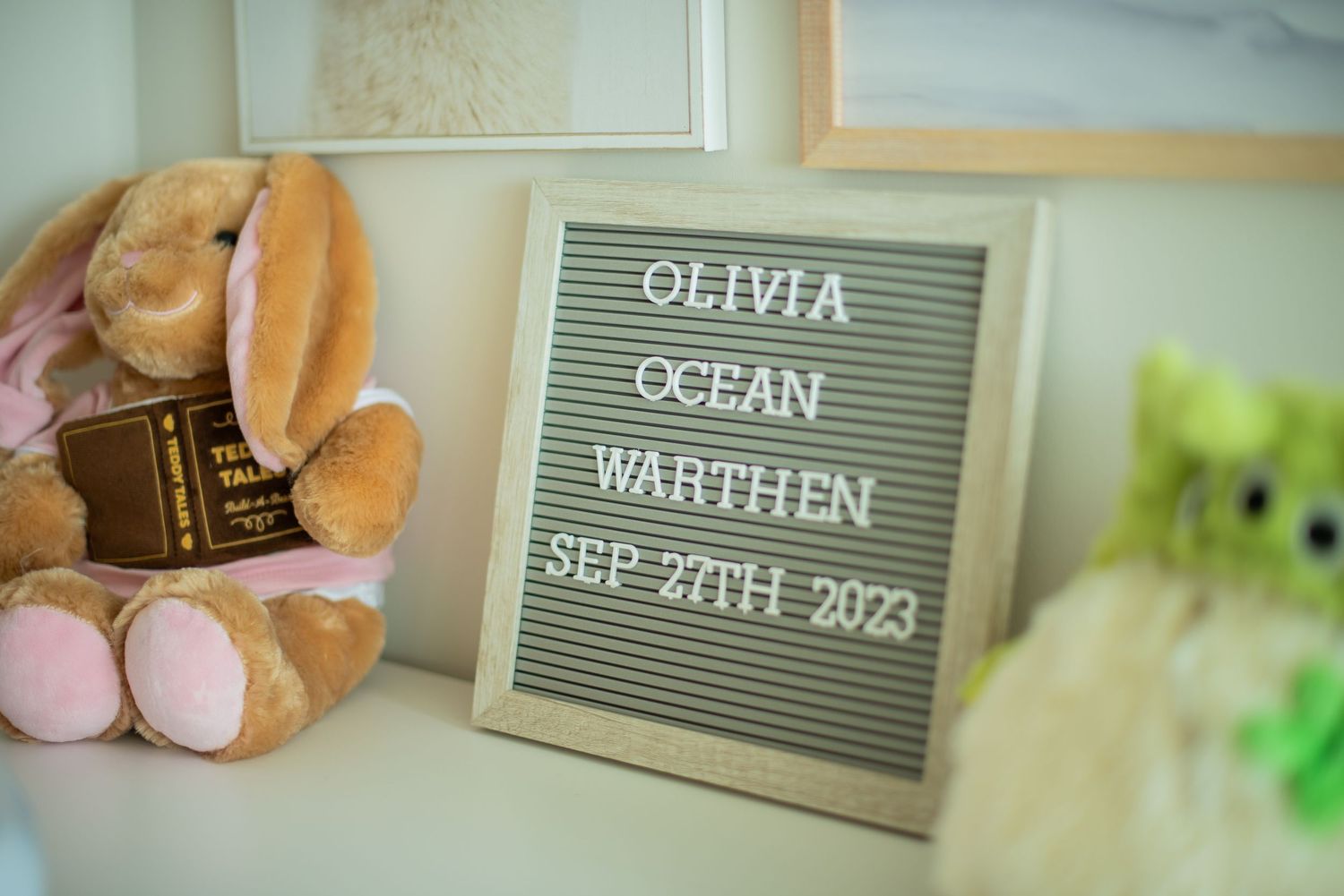 Letter board signs display names and dates in a soft, pastel-toned setting with plush decorative elements.