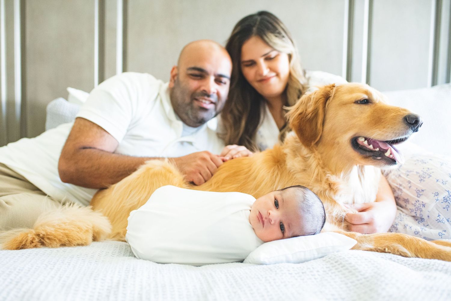 A person relaxes on a white couch with their golden retriever dog in a bright, sunlit room.