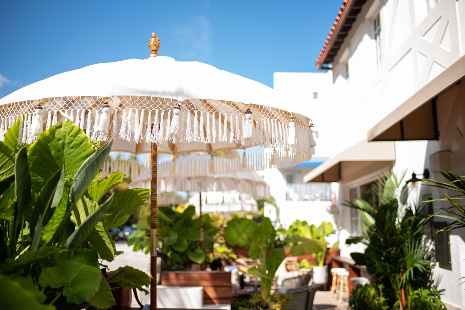 Elegant white Balinese umbrella with fringe trim stands among tropical plants against a bright blue sky.