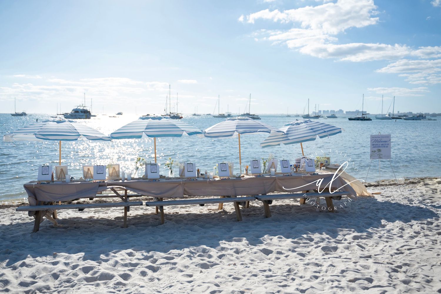 A panoramic view of boats anchored in a marina with snow-covered ground and cloudy skies in the background.