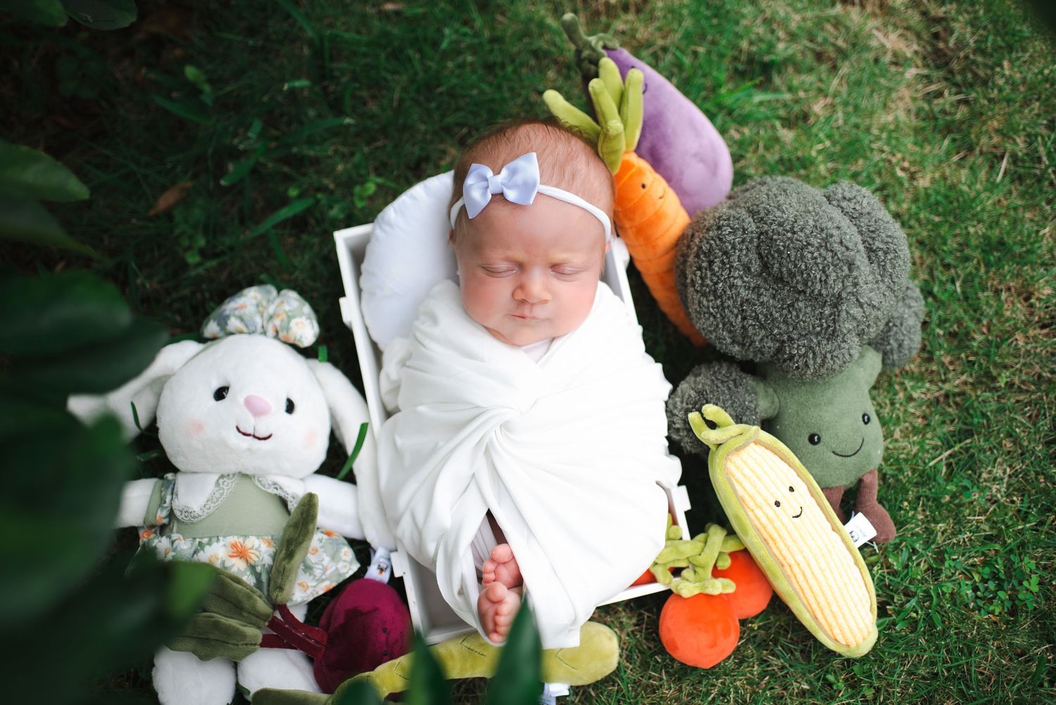 A baby wrapped in white lies on grass surrounded by plush vegetable and fruit toys including broccoli and banana.