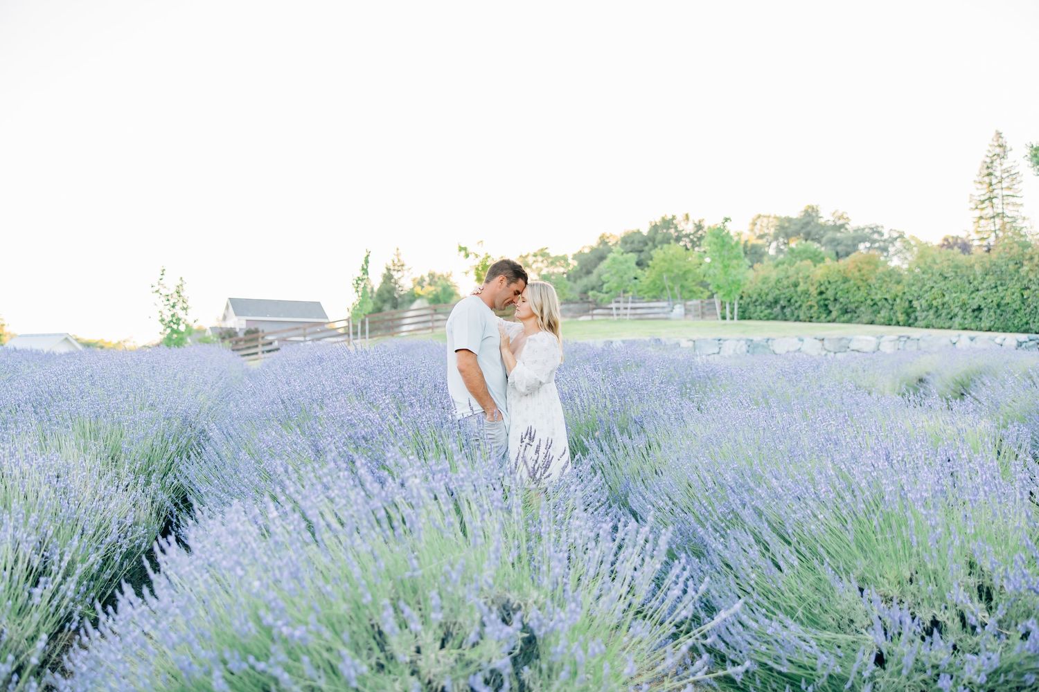 Amid blooming lavender fields, this session captures family love, connection, and joy in a soft, timeless, and magical setting.