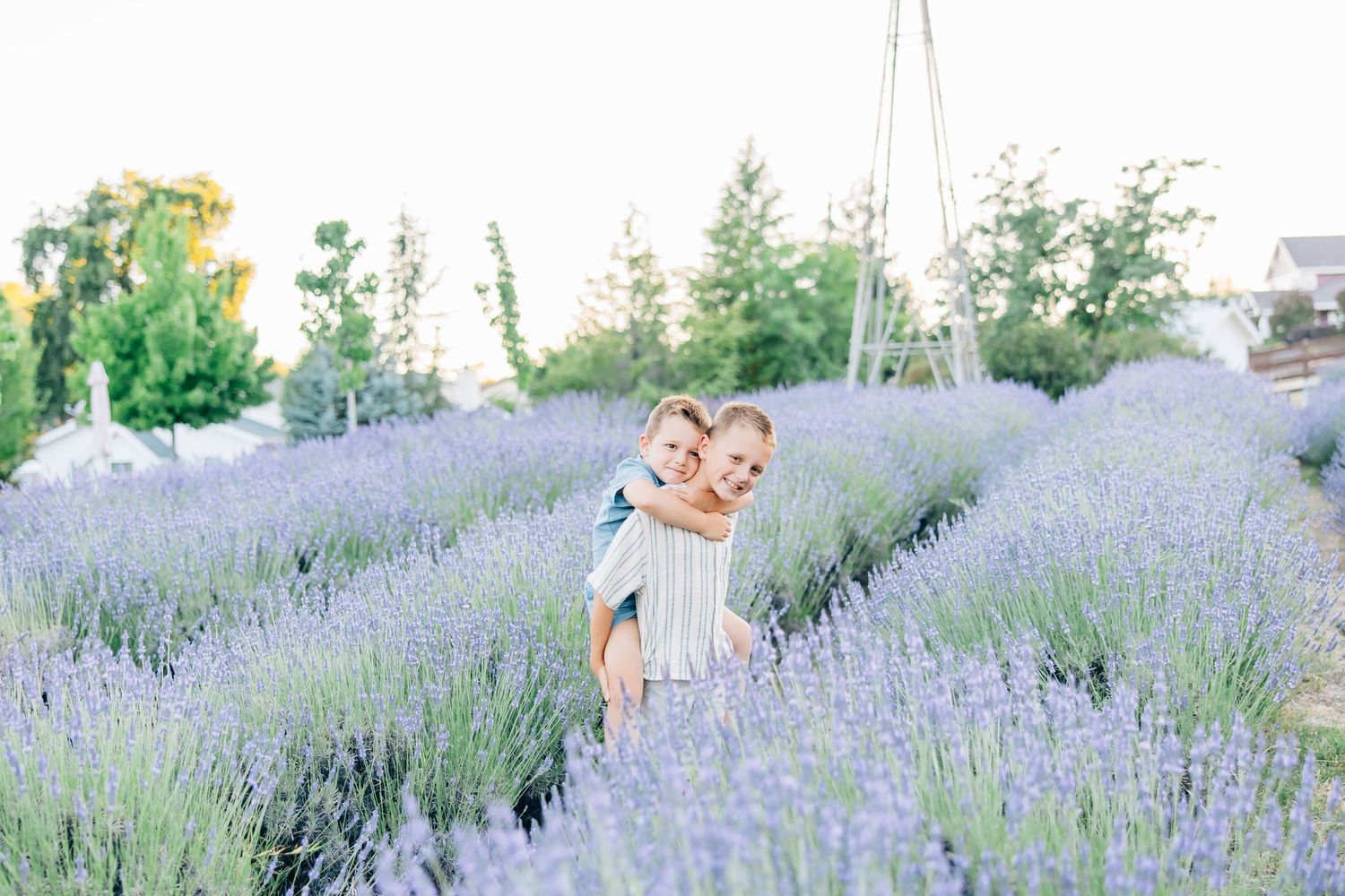 Amid blooming lavender fields, this session captures family love, connection, and joy in a soft, timeless, and magical setting.