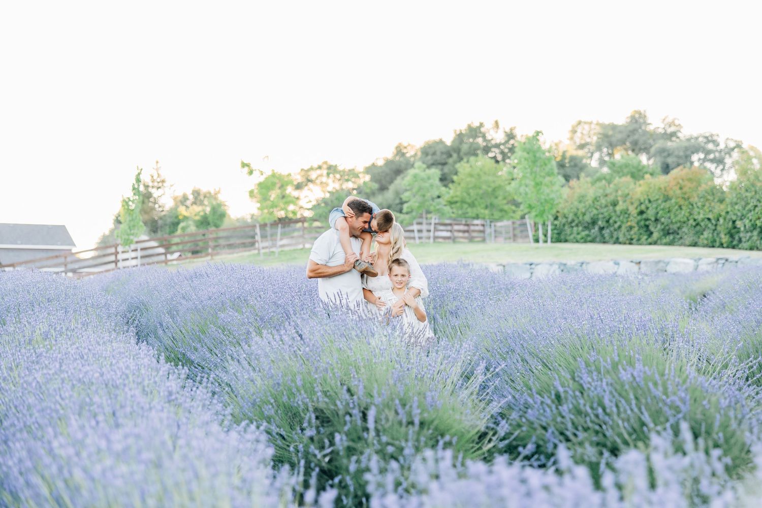Amid blooming lavender fields, this session captures family love, connection, and joy in a soft, timeless, and magical setting.