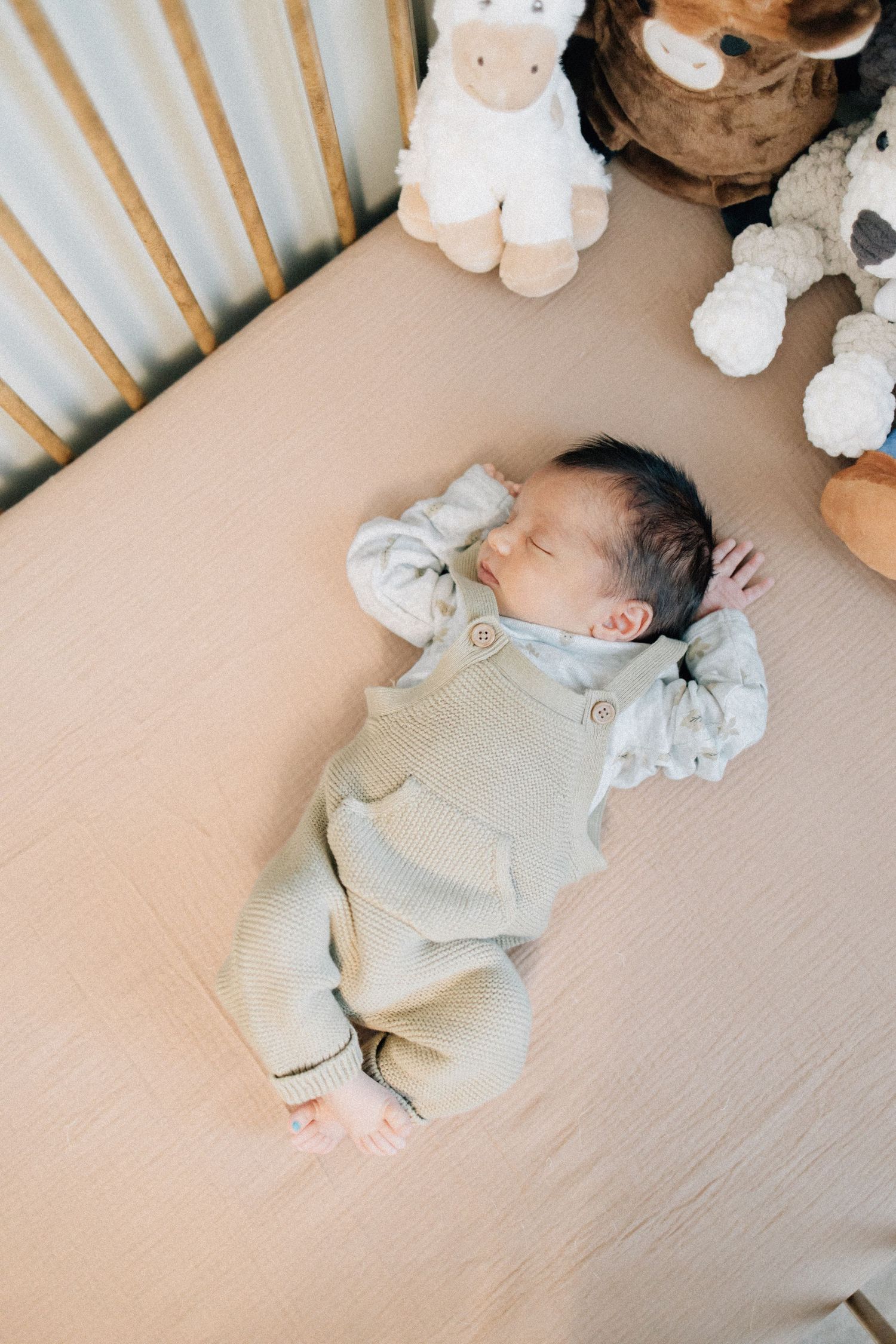 From first snuggles to tiny milestones, these in-home newborn sessions capture the love, warmth, and connection of early motherhood.