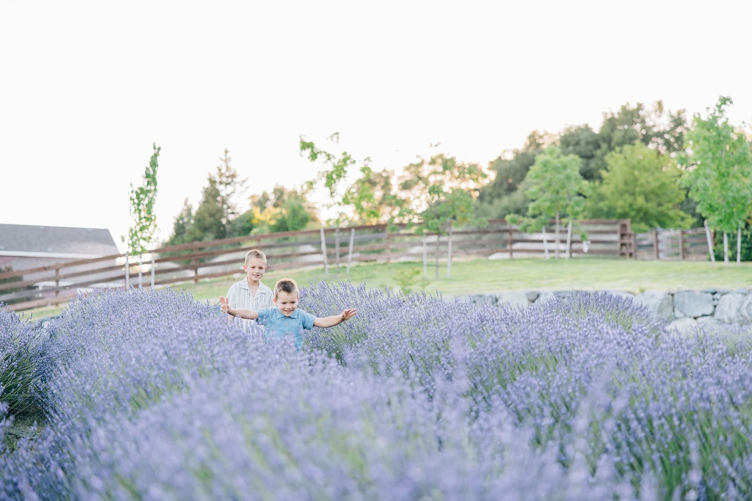 Amid blooming lavender fields, this session captures family love, connection, and joy in a soft, timeless, and magical setting.